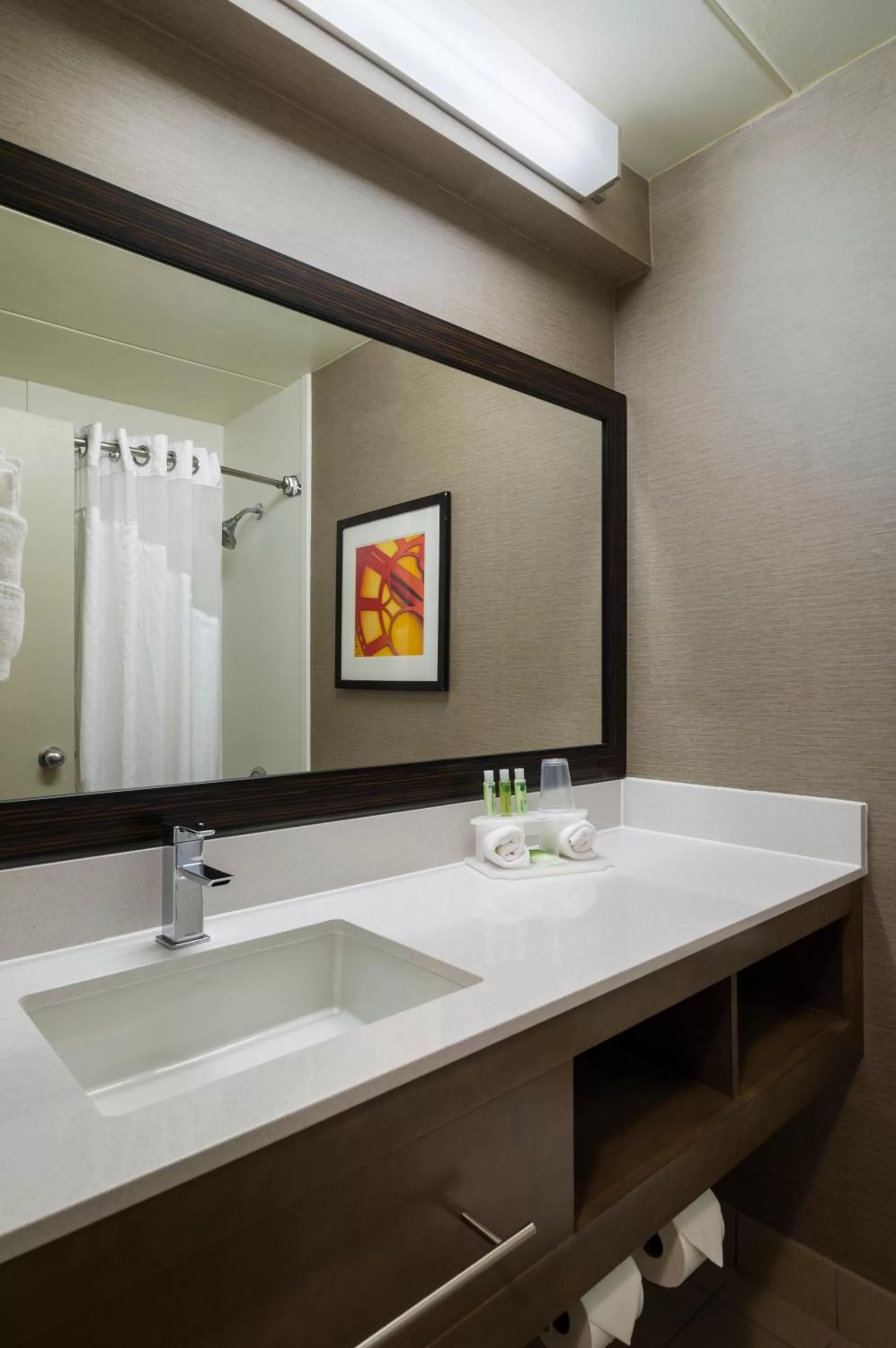 Bathroom in Holiday Inn Express Hotel & Suites Philadelphia - King of Prussia by IHG
