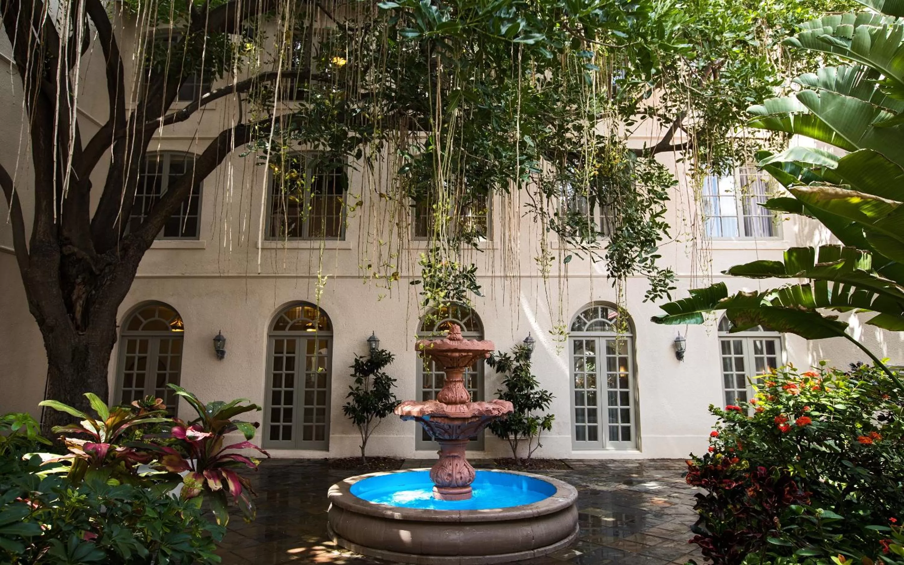 Patio in Casa De Palmas, Trademark Collection by Wyndham