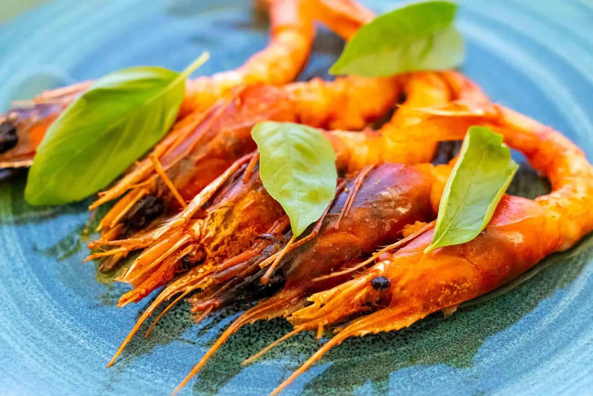 Patio in Pullman Cannes Mandelieu