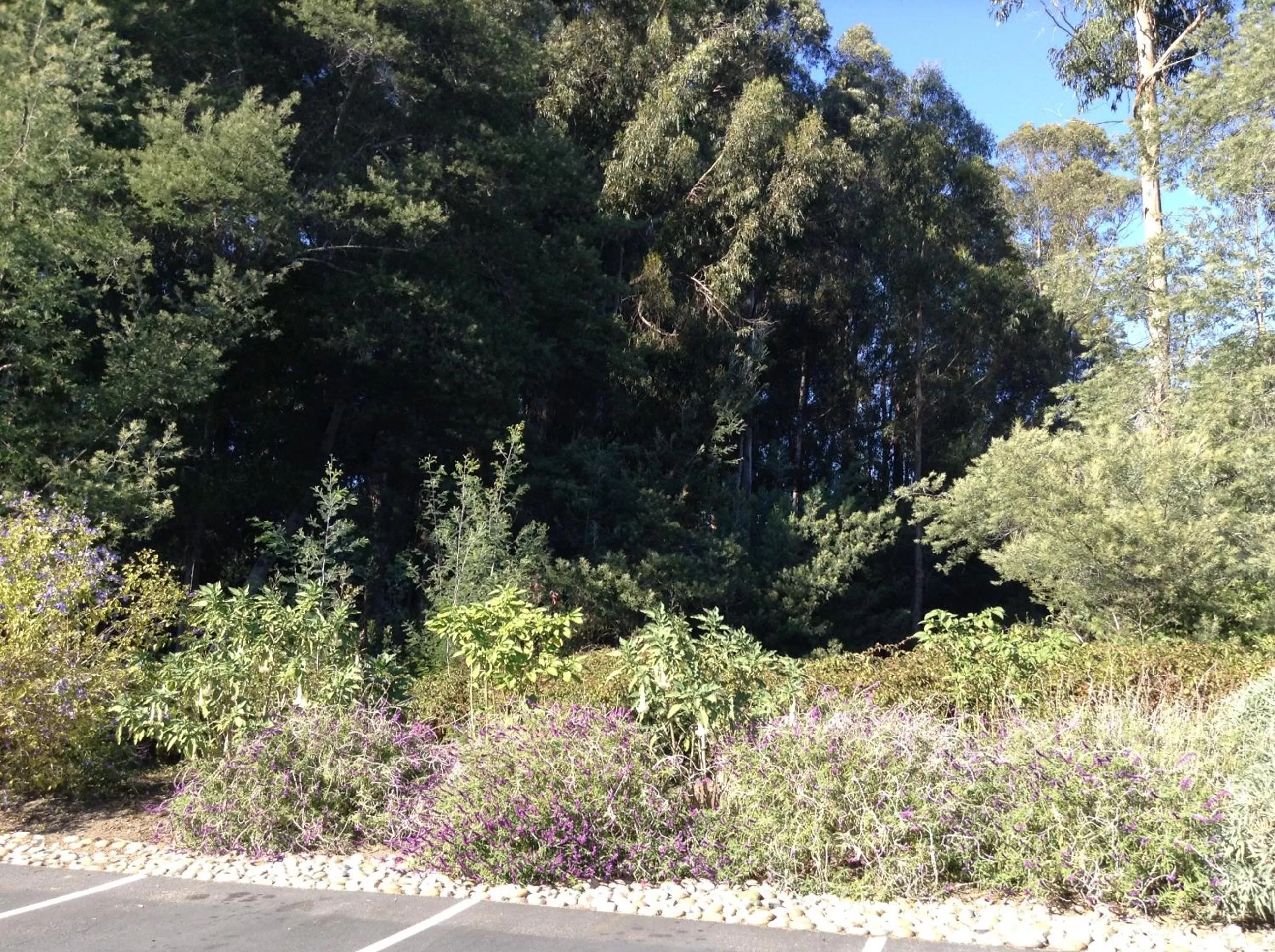 Area and facilities in The Inn at Pasatiempo