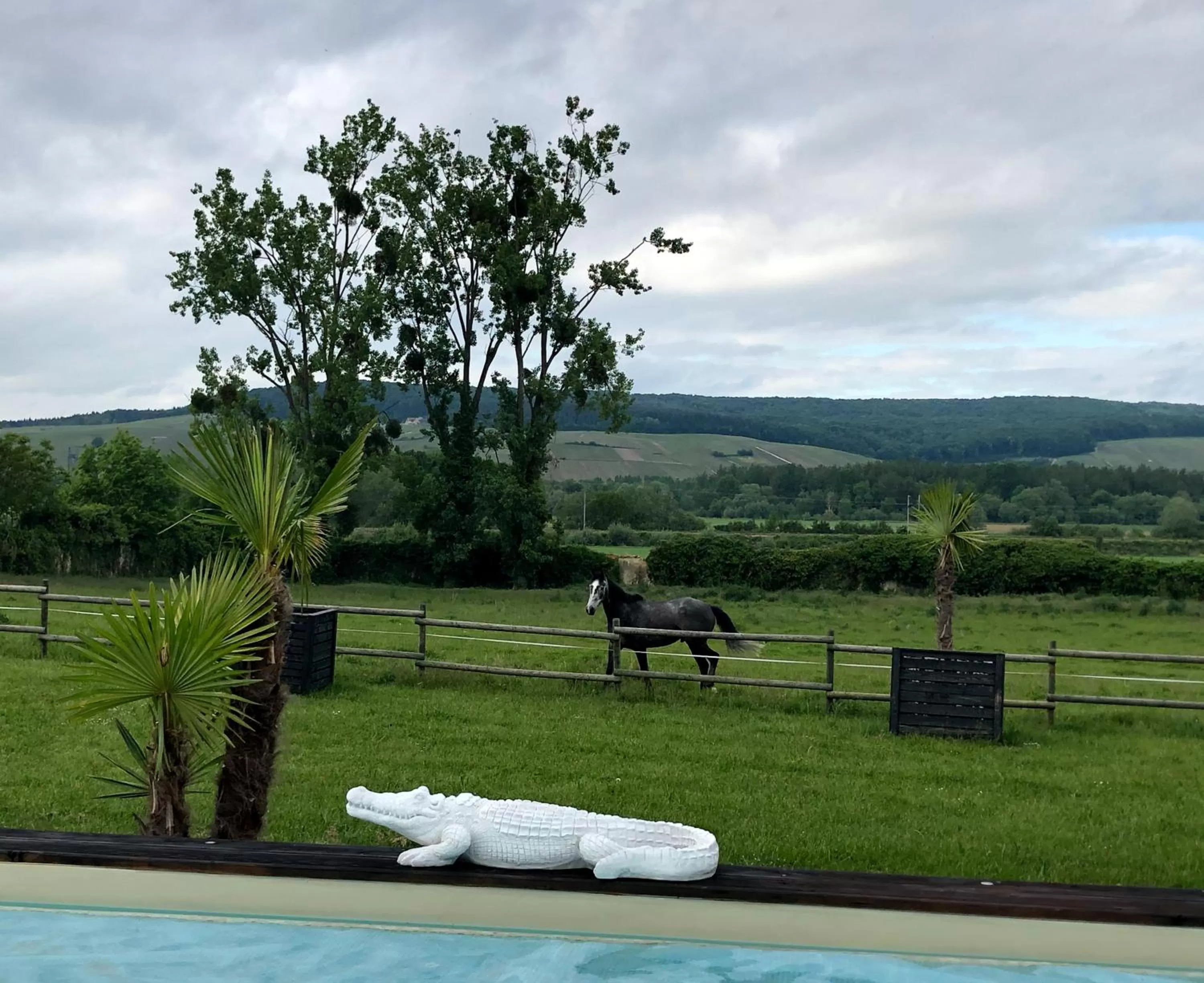 CHAMBRES D'HOTES DANS DOMAINE DE CHARME A EPERNAY