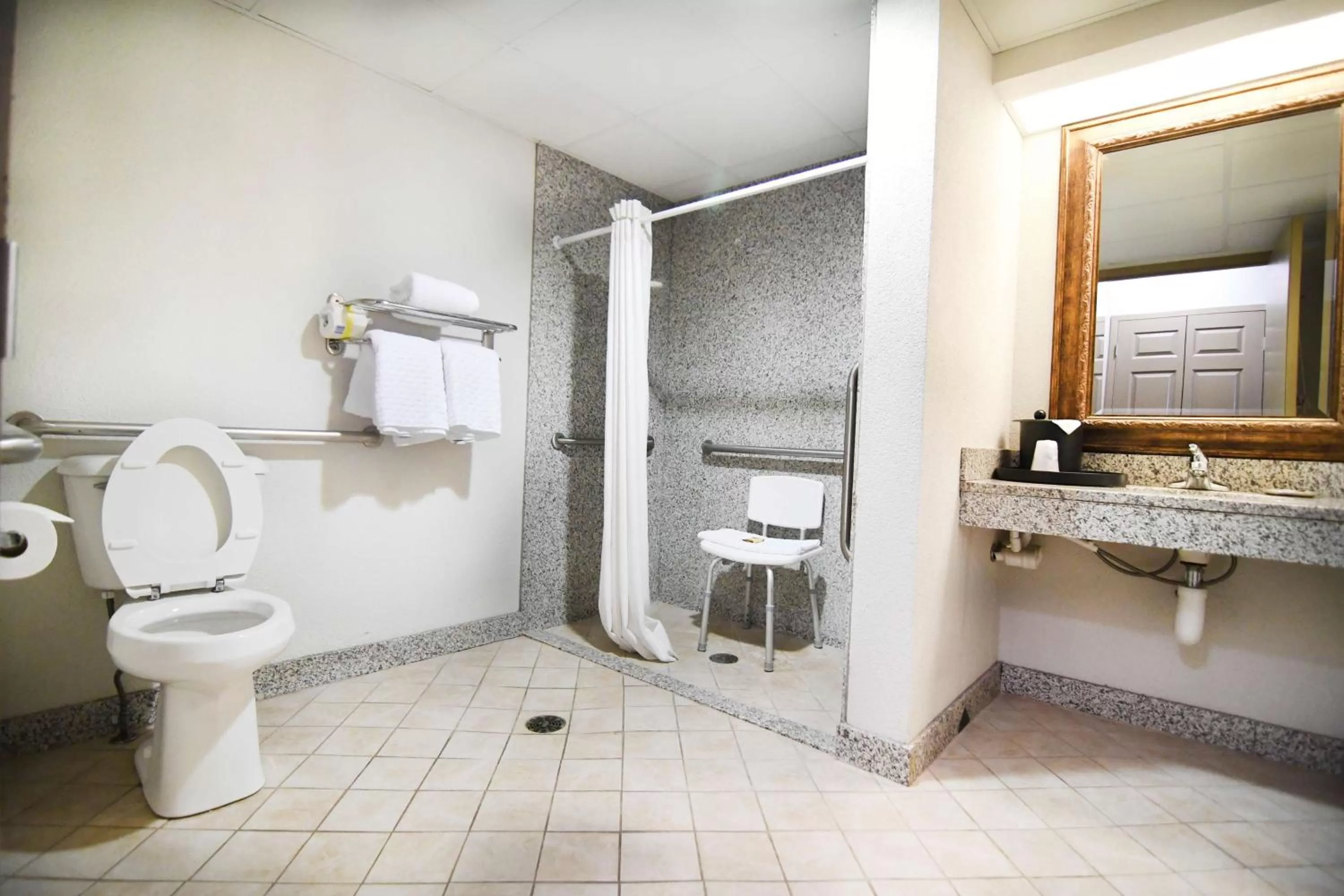 Bathroom in Best Western Plus Sandusky Hotel & Suites