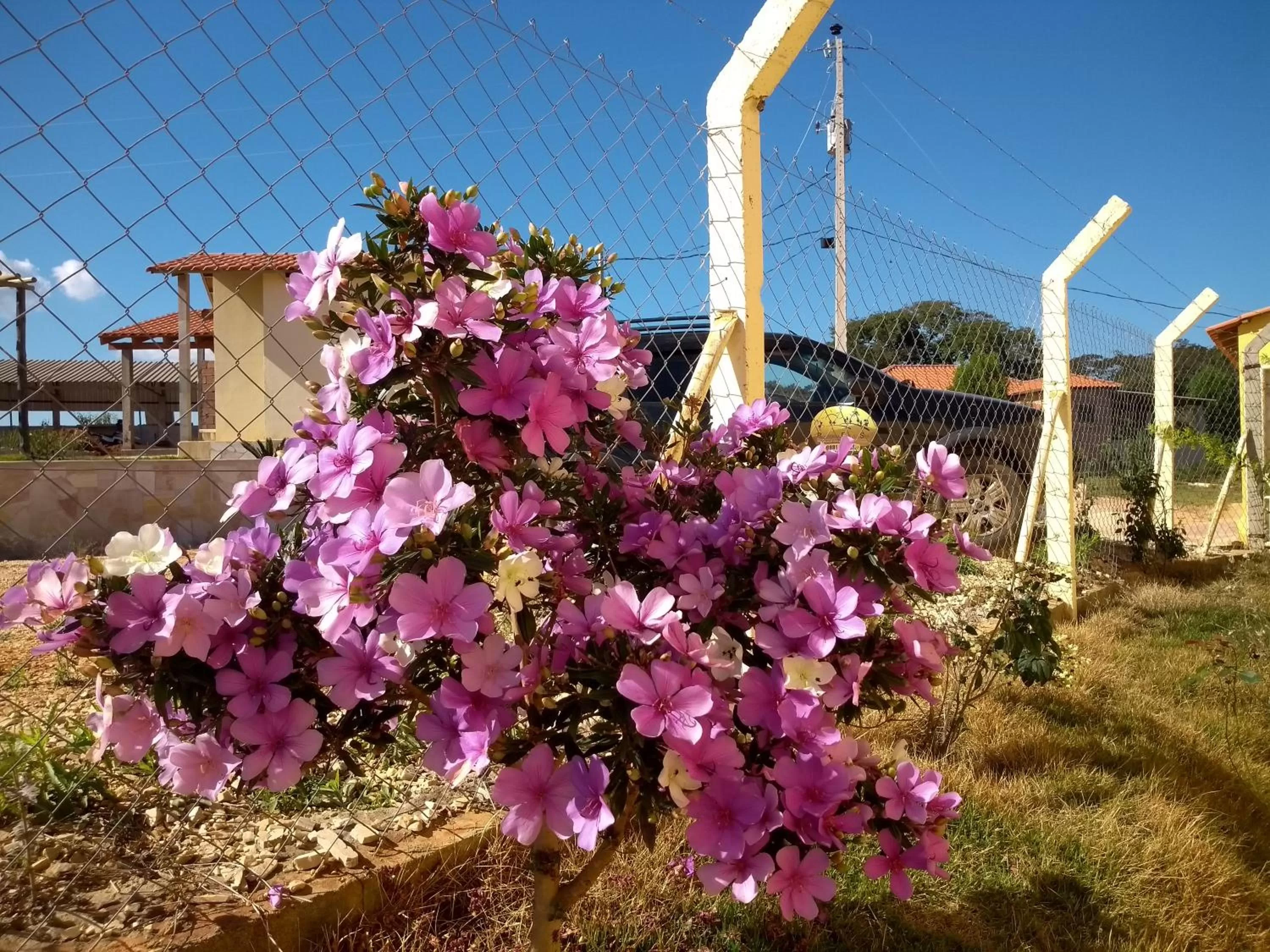 Pousada e Chales Por do Sol