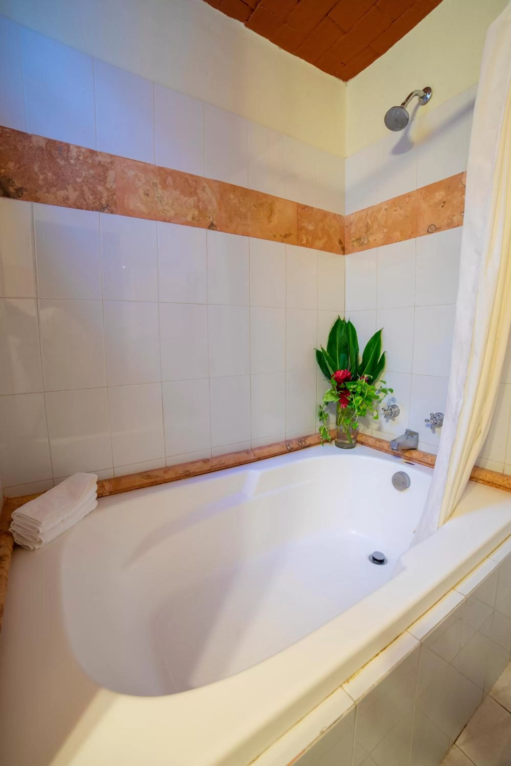 Area and facilities in Hotel Chichen Itza