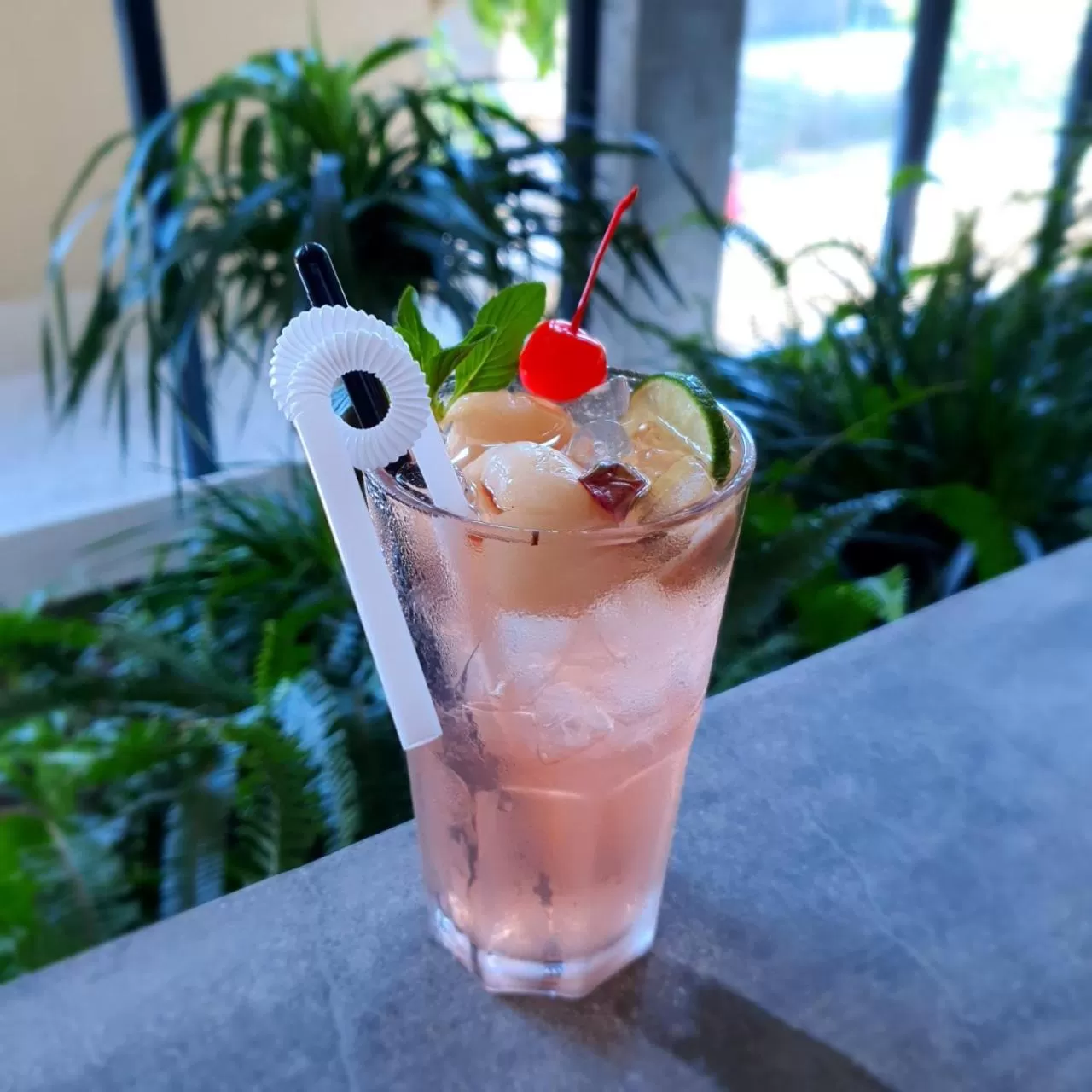 Drinks in Cagina Boutique Hostel