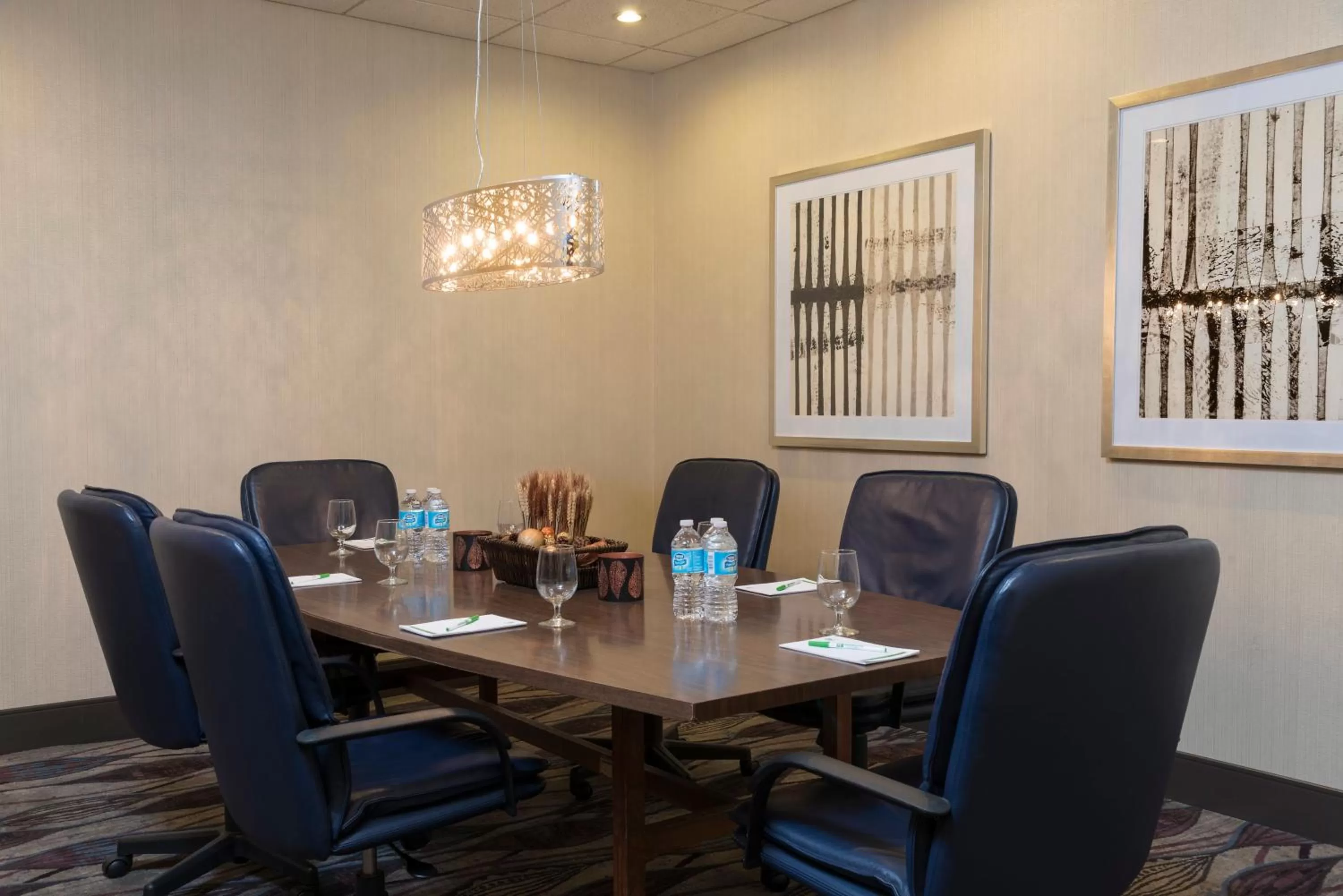 Meeting/conference room in Holiday Inn Chicago - Elk Grove, an IHG Hotel