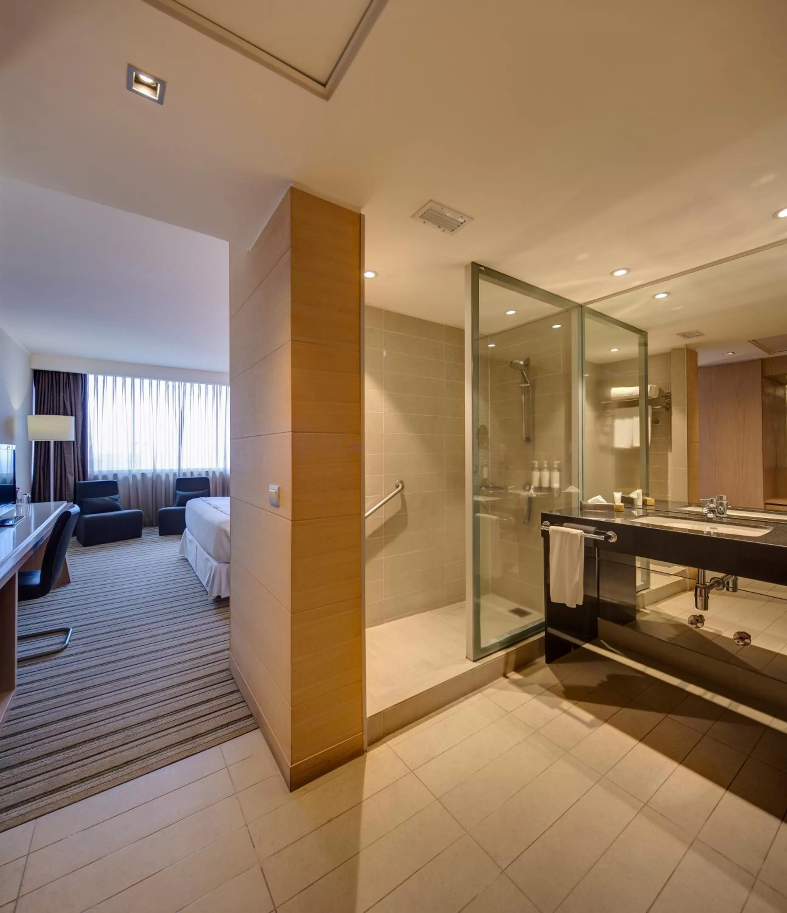 Bathroom in Wyndham Concepcion Pettra