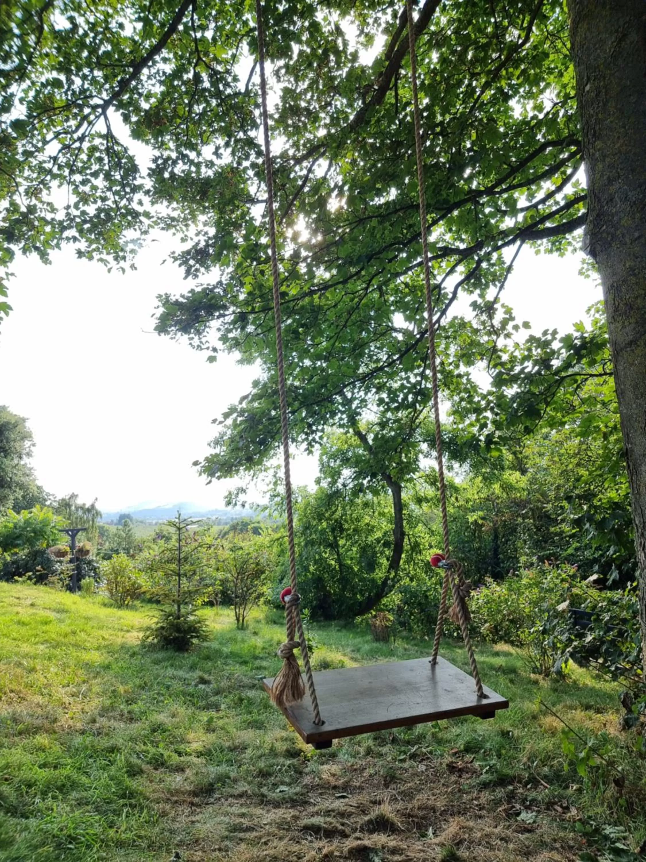 Garden in Prospect BARN