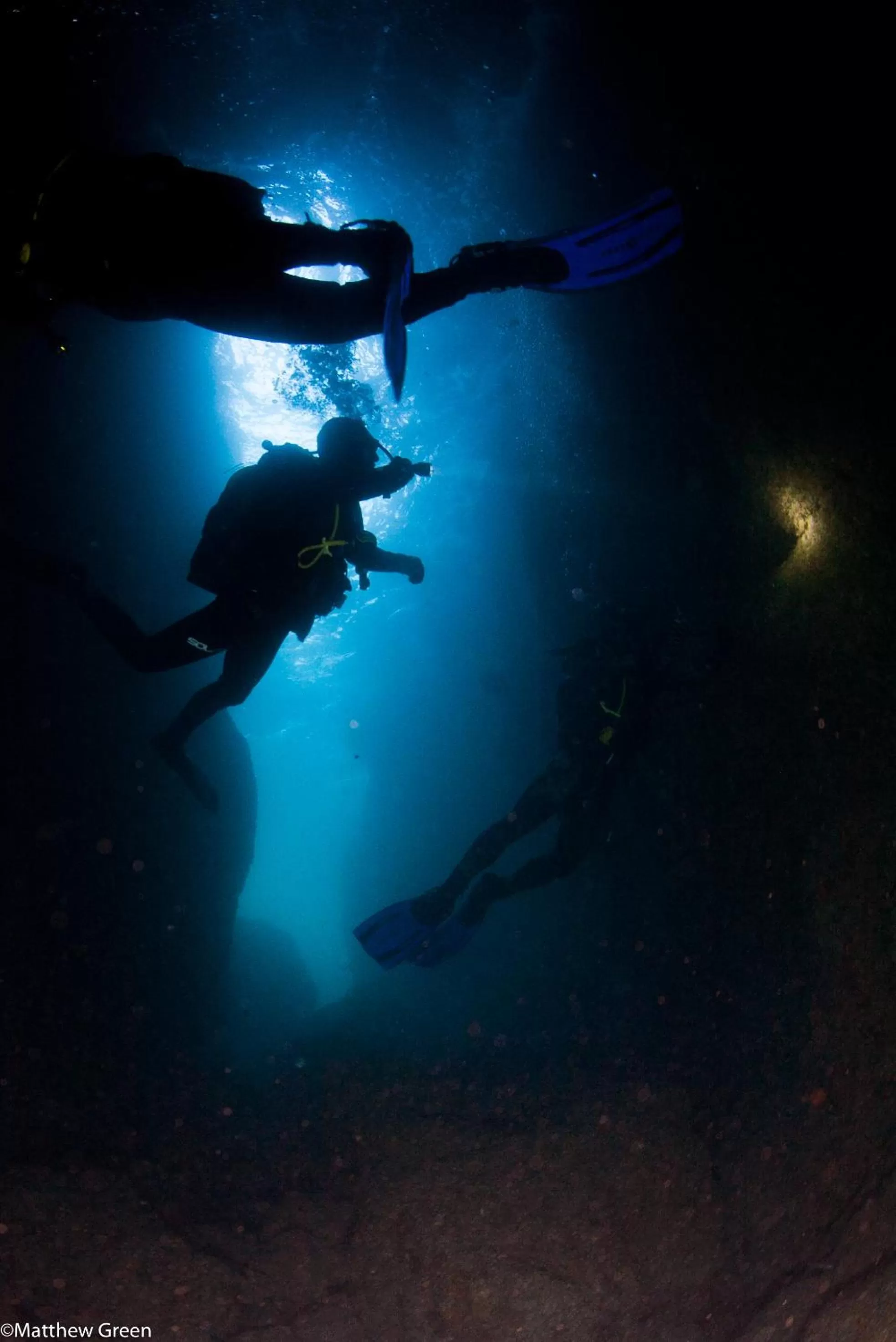 Diving in PuraVida Divehouse
