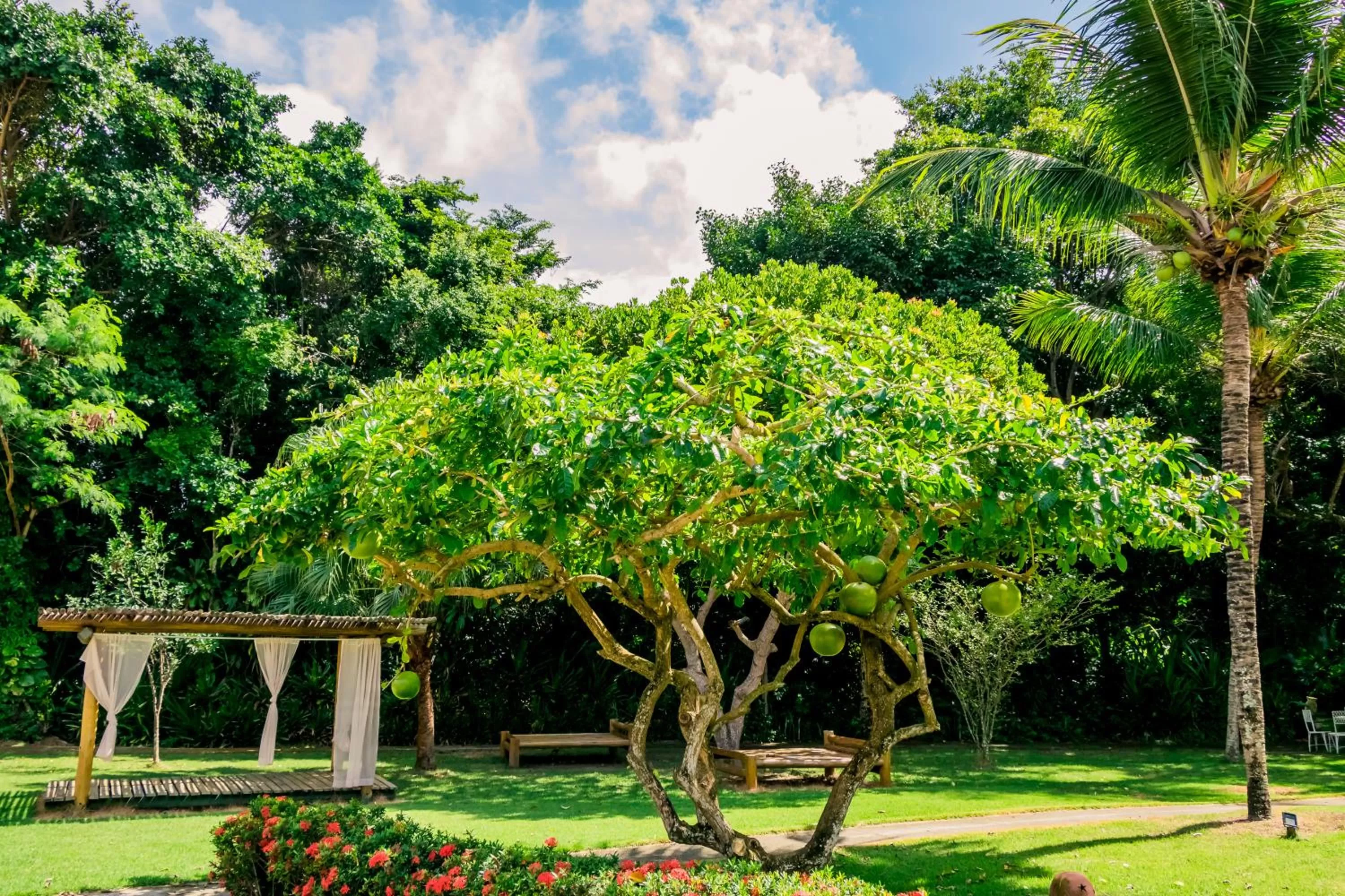 Garden in Bosque do Porto Praia Hotel