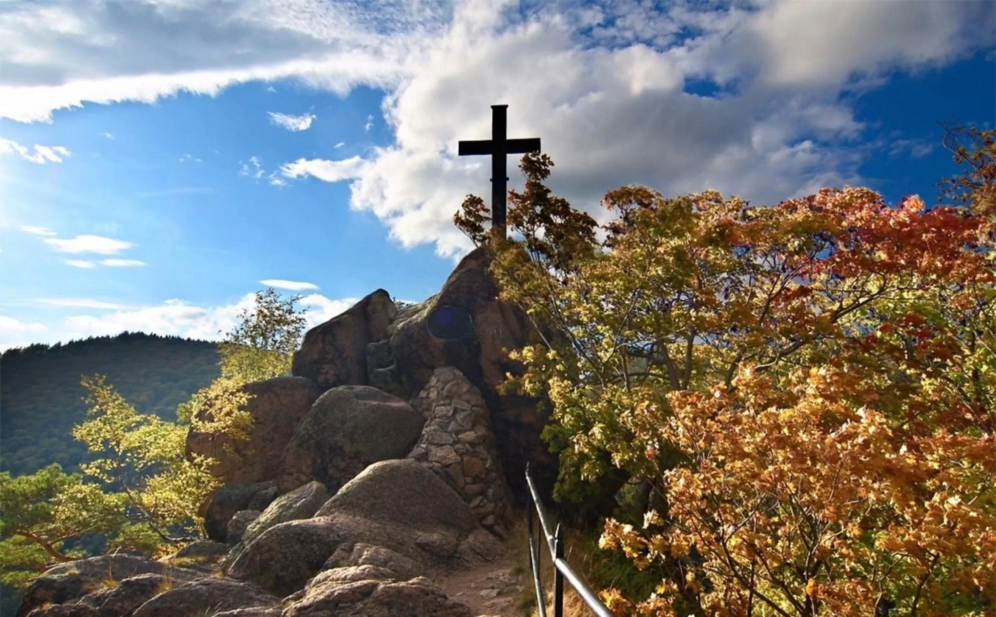 Activities in Altstadthotel Ilsenburg
