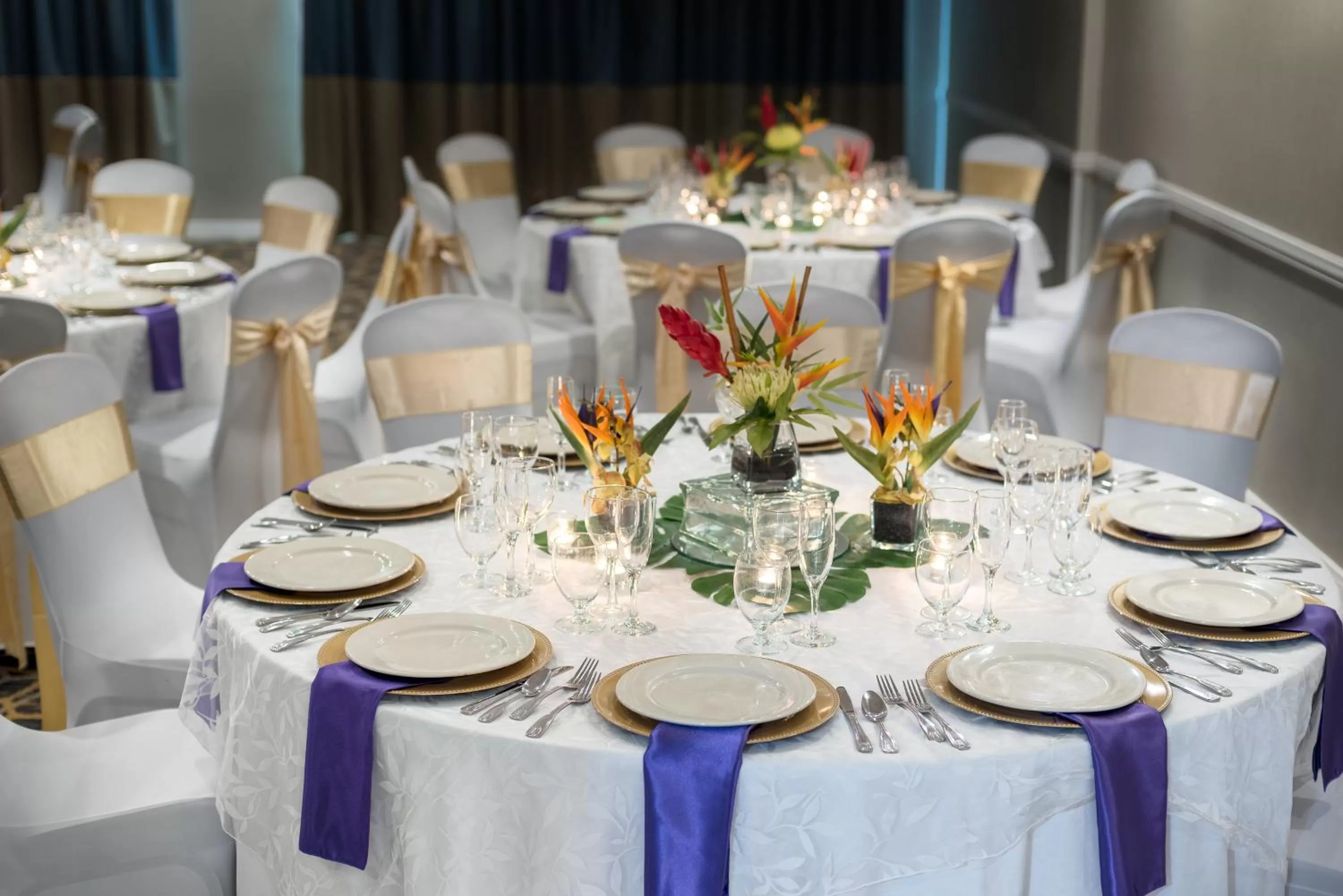 Meeting/conference room in Holiday Inn Fort Lauderdale Airport by IHG