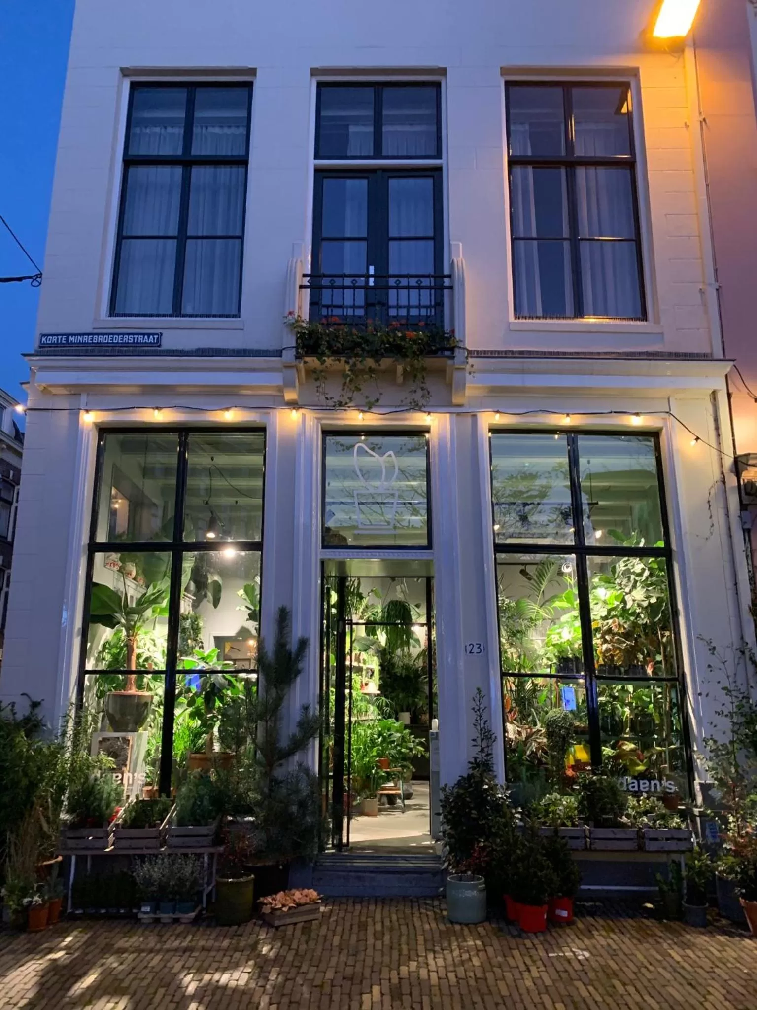 Property building in Daen’s Greenhouse