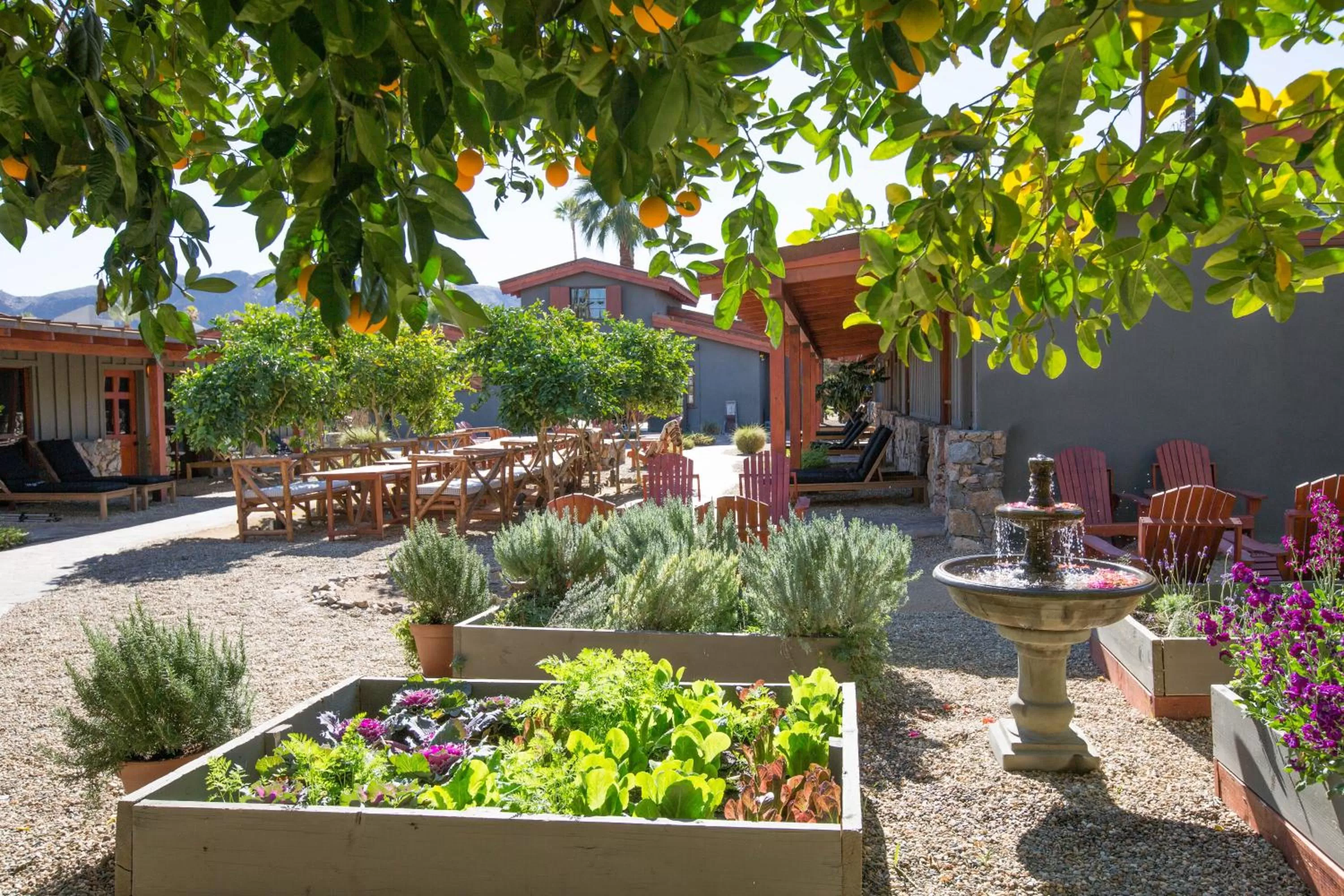 Patio in Sparrows Lodge