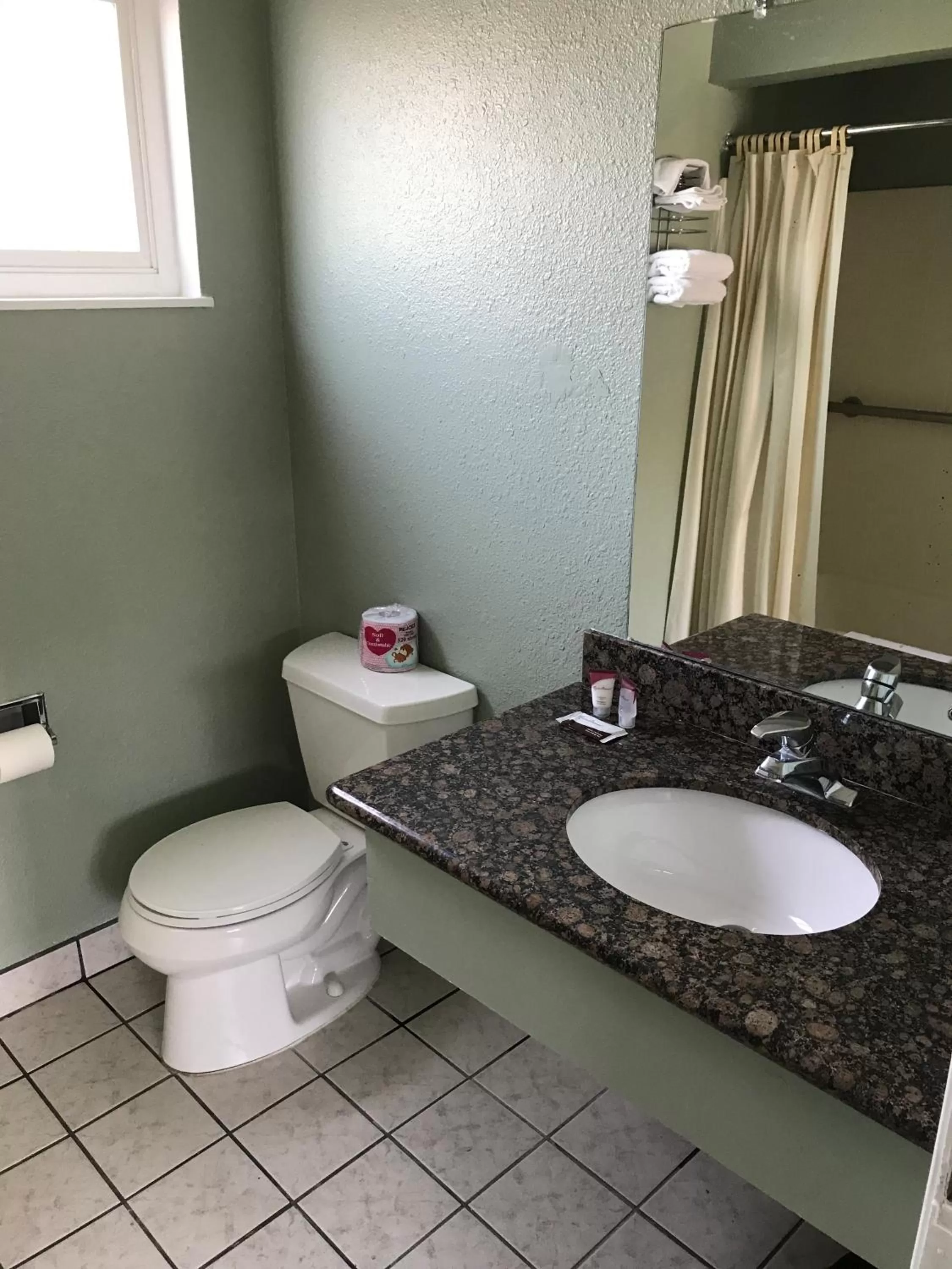 Bathroom in Economy Inn
