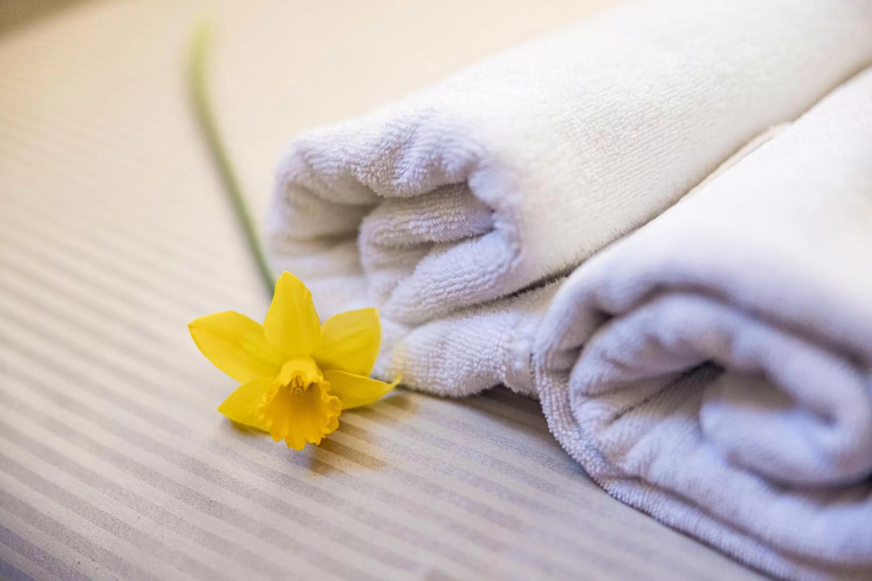 Bed in Palanga Park Hotel