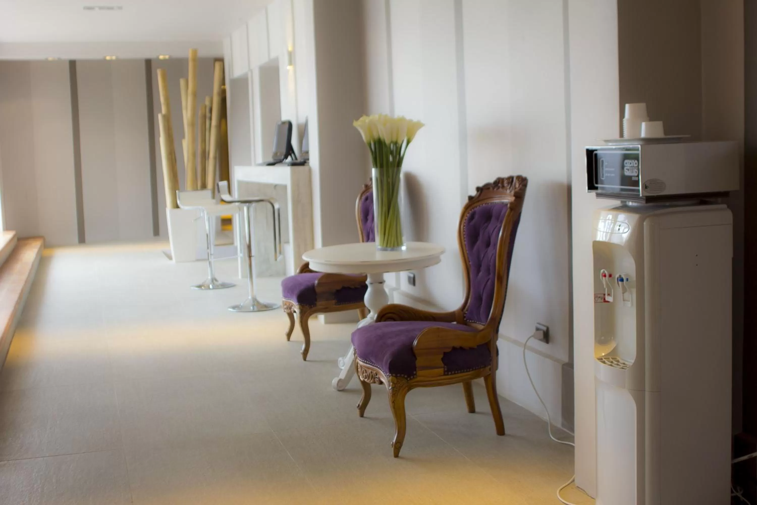 Decorative detail in Hotel Las Terrazas Business