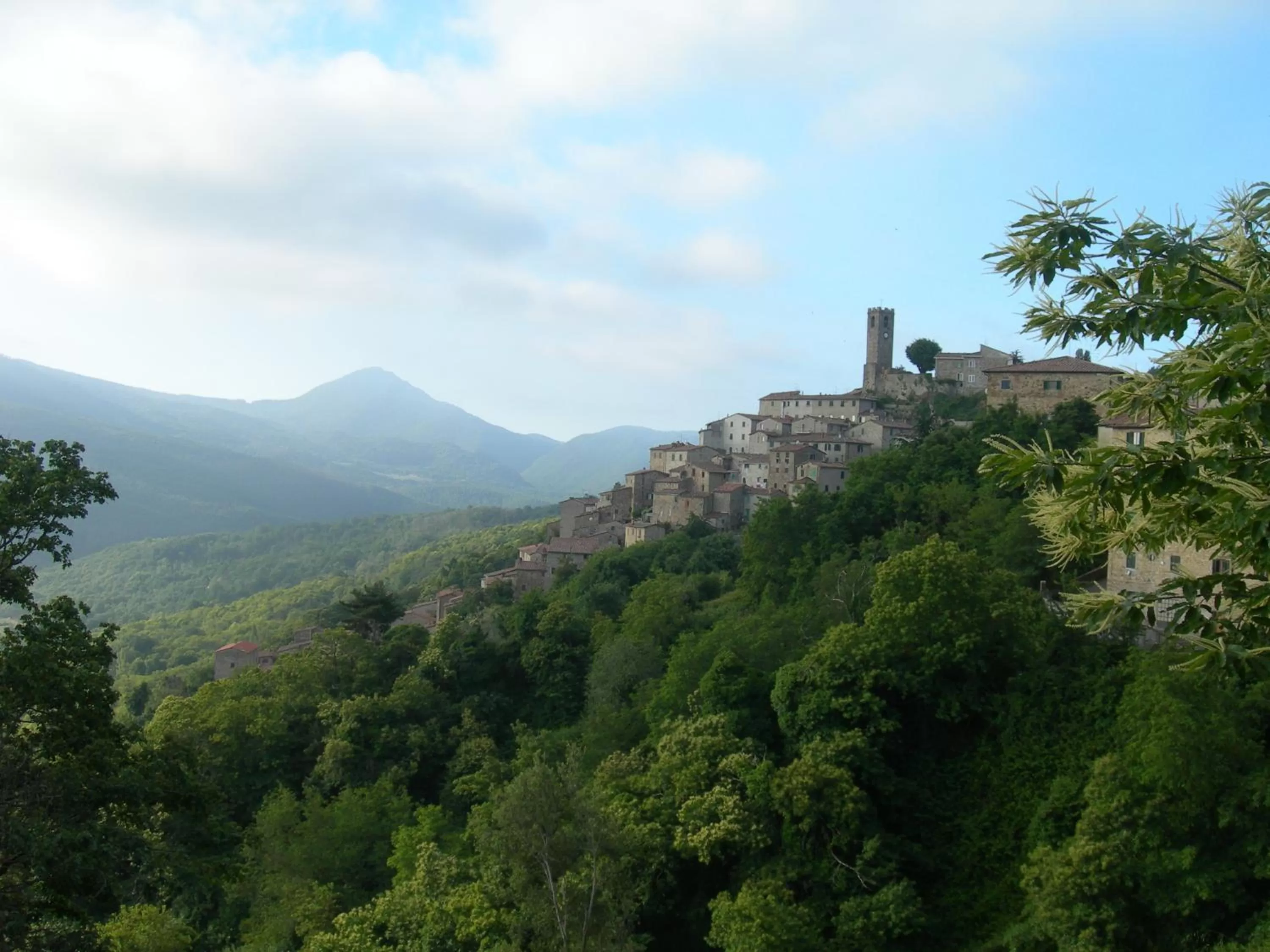 Natural landscape in Hotel Dei Conti