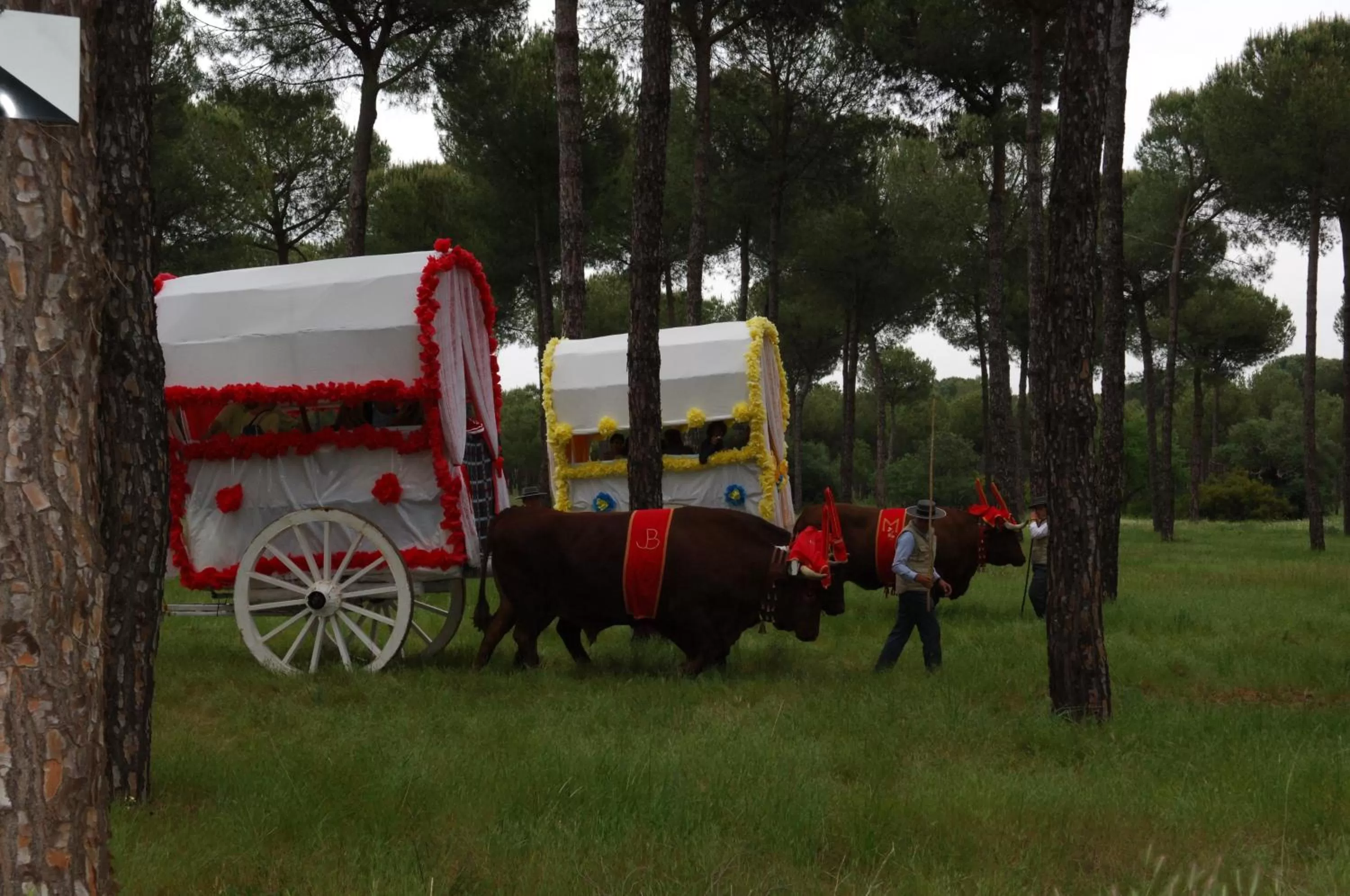 Natural landscape in Ardea Purpurea