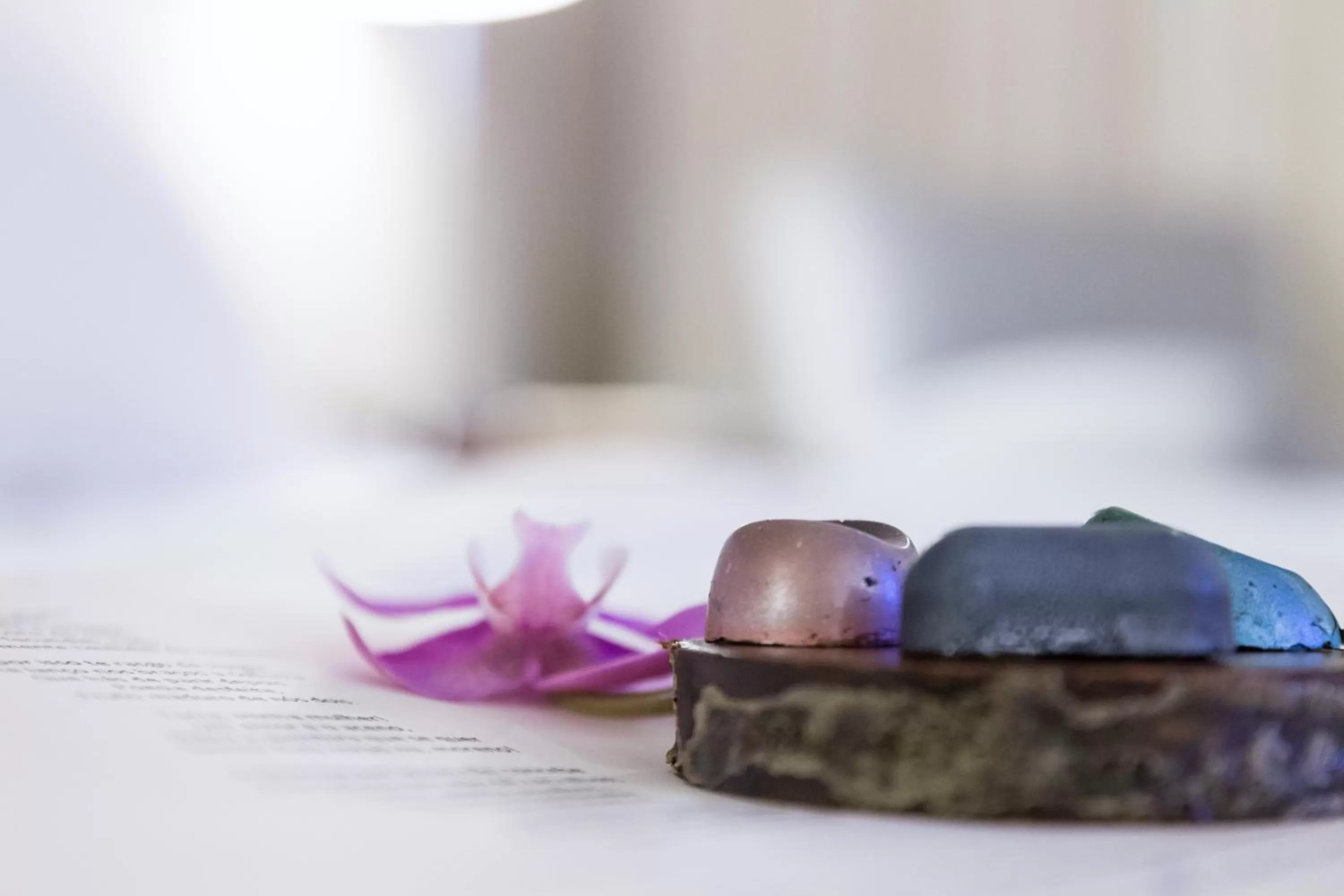 Food and drinks in Pousada de Bragança - Sao Bartolomeu