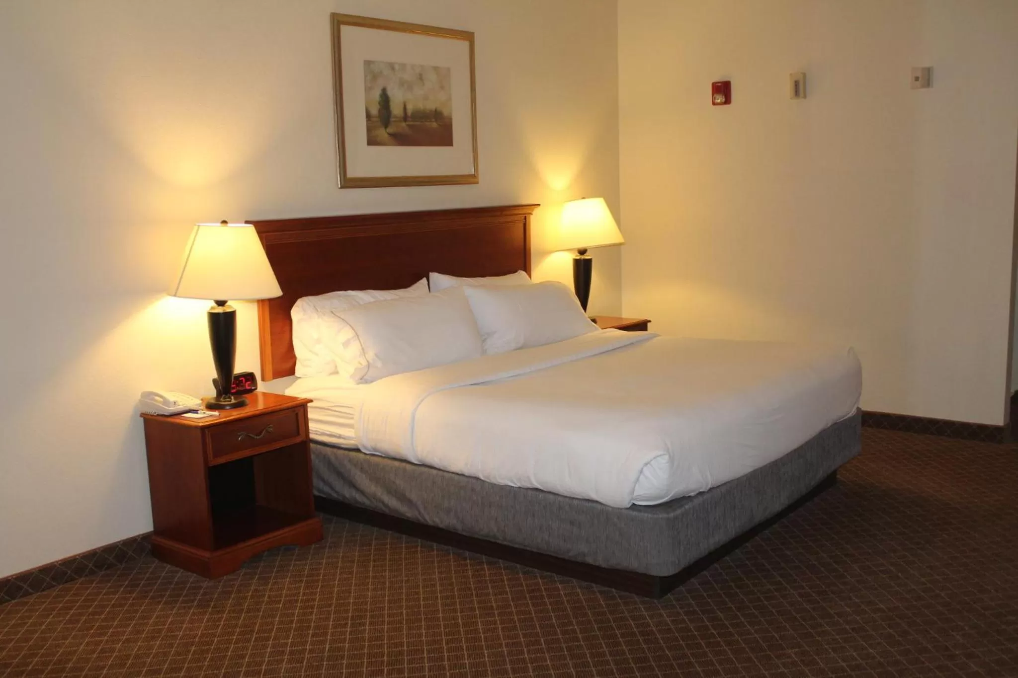 Photo of the whole room, Bed in Holiday Inn Express Heber City by IHG