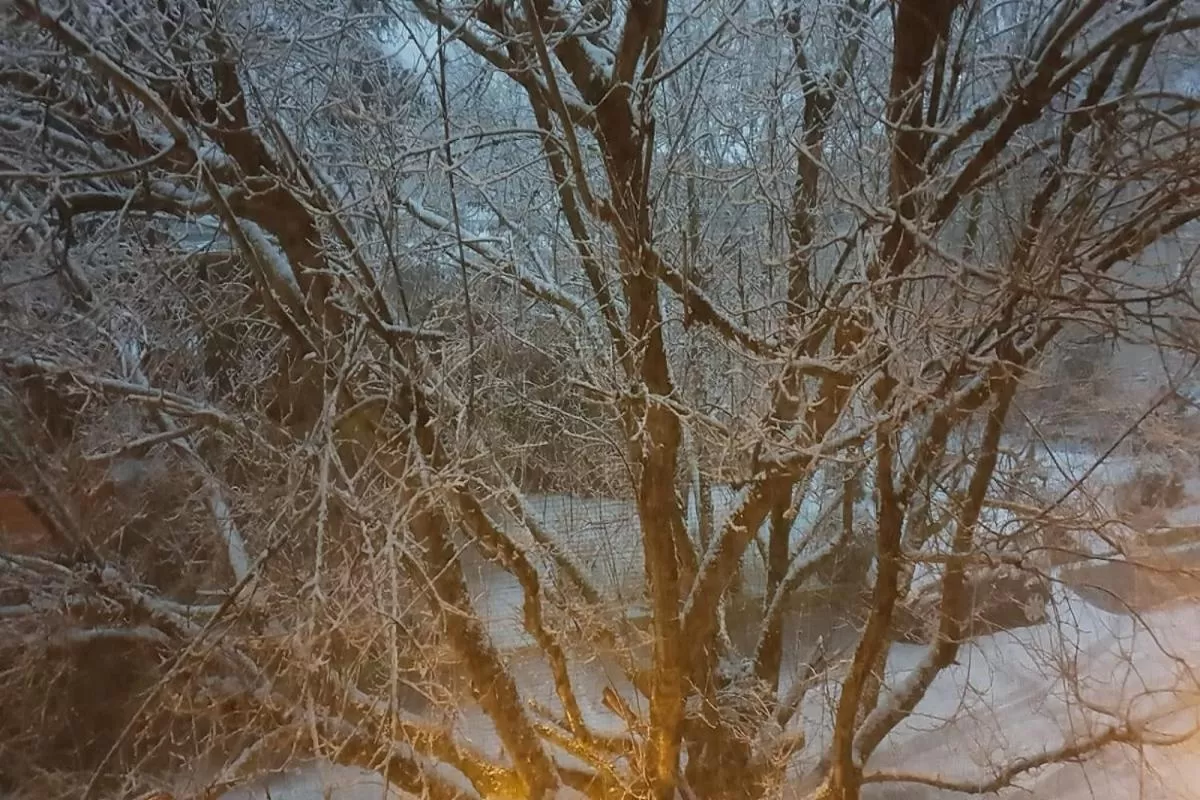 Property building in RistHotel Pianura Inn