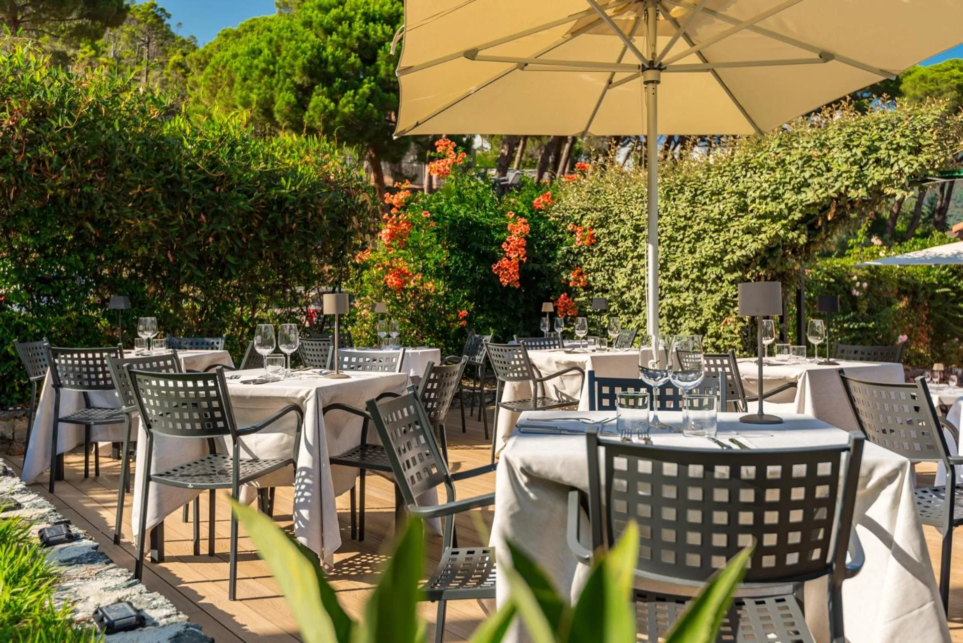 Restaurant/places to eat in Park Hotel Argento