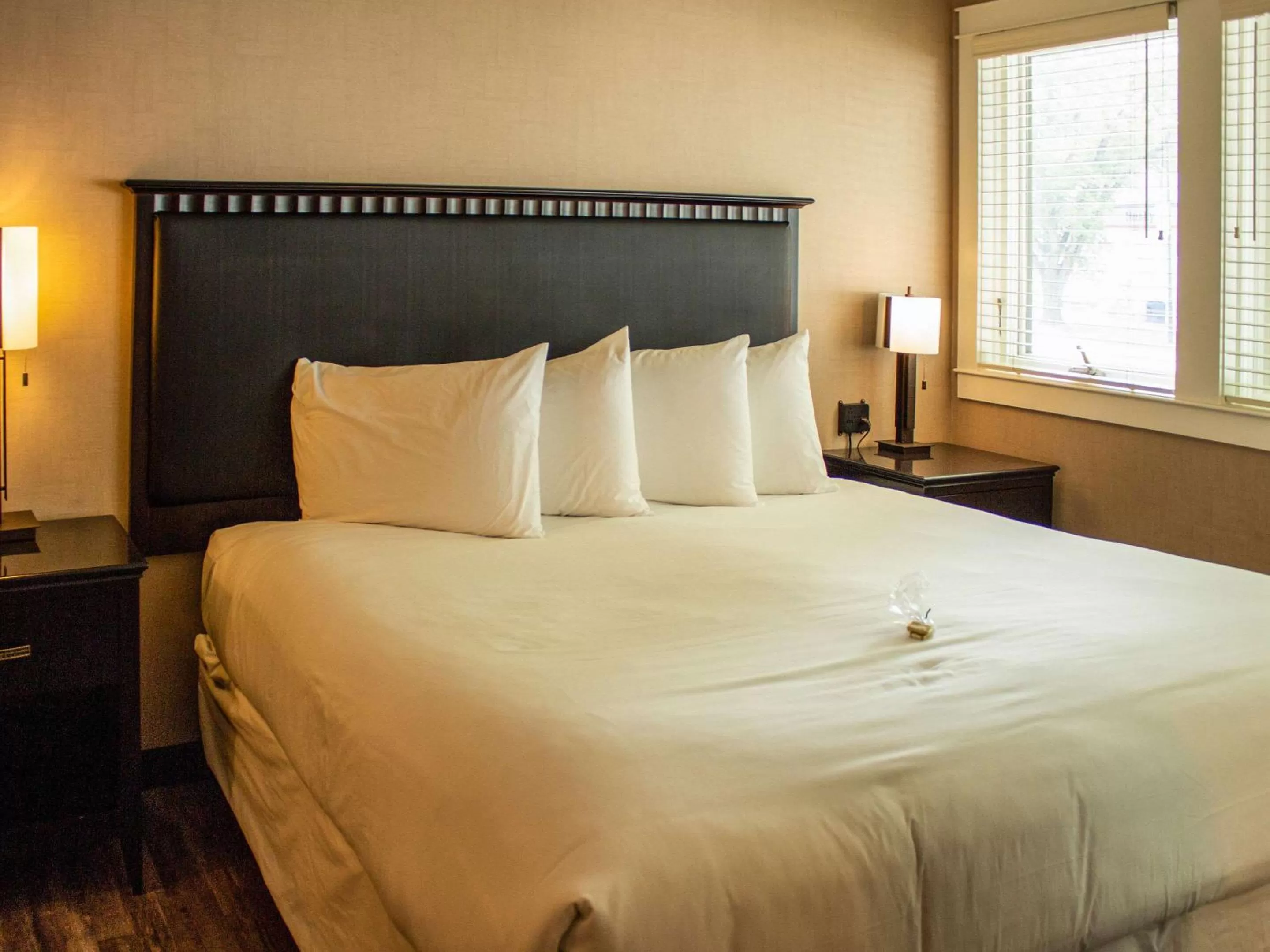 Photo of the whole room, Bed in Hotel Penticton, Ascend Hotel Collection