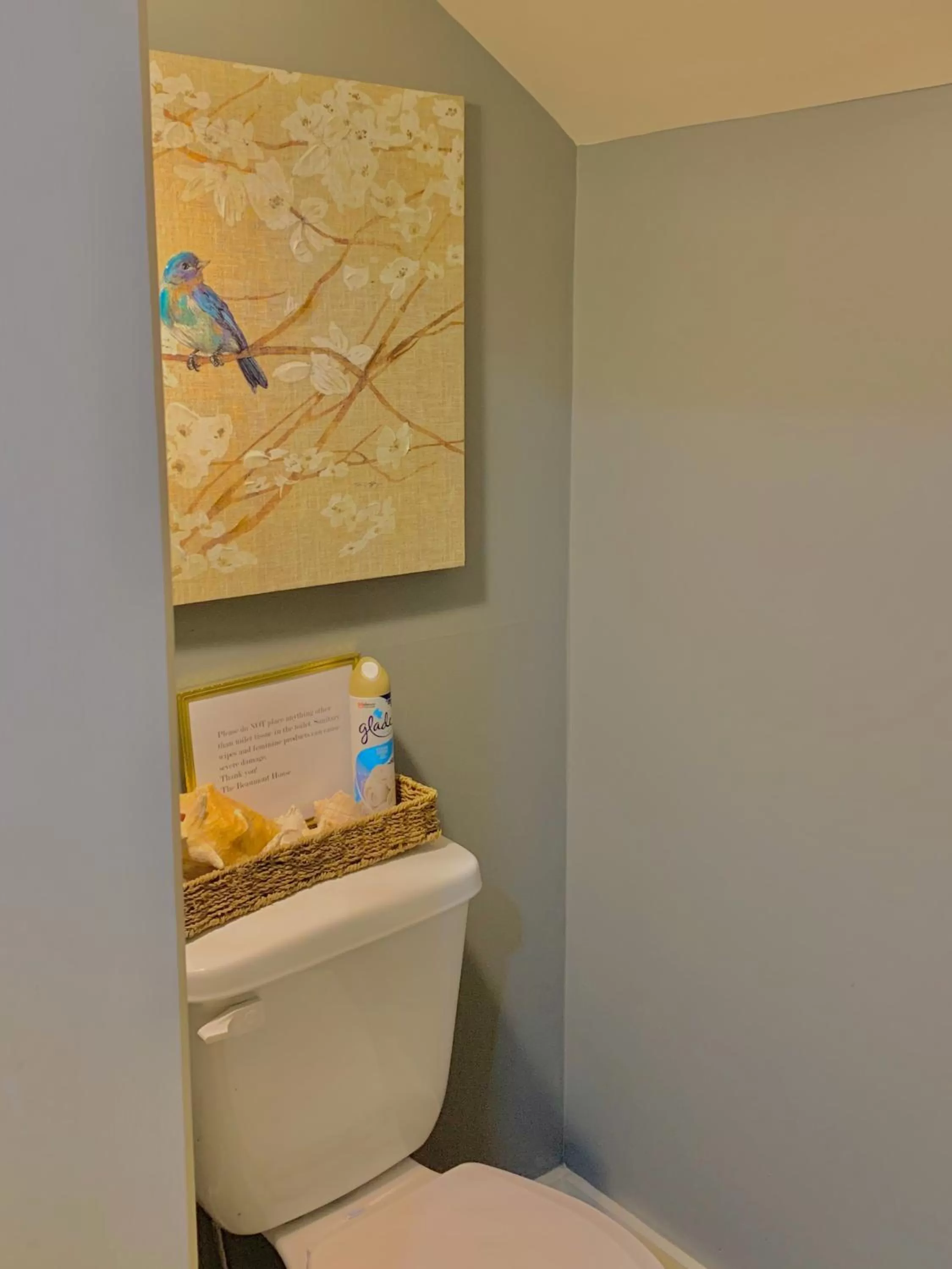 Toilet in The Beaumont House Natchez