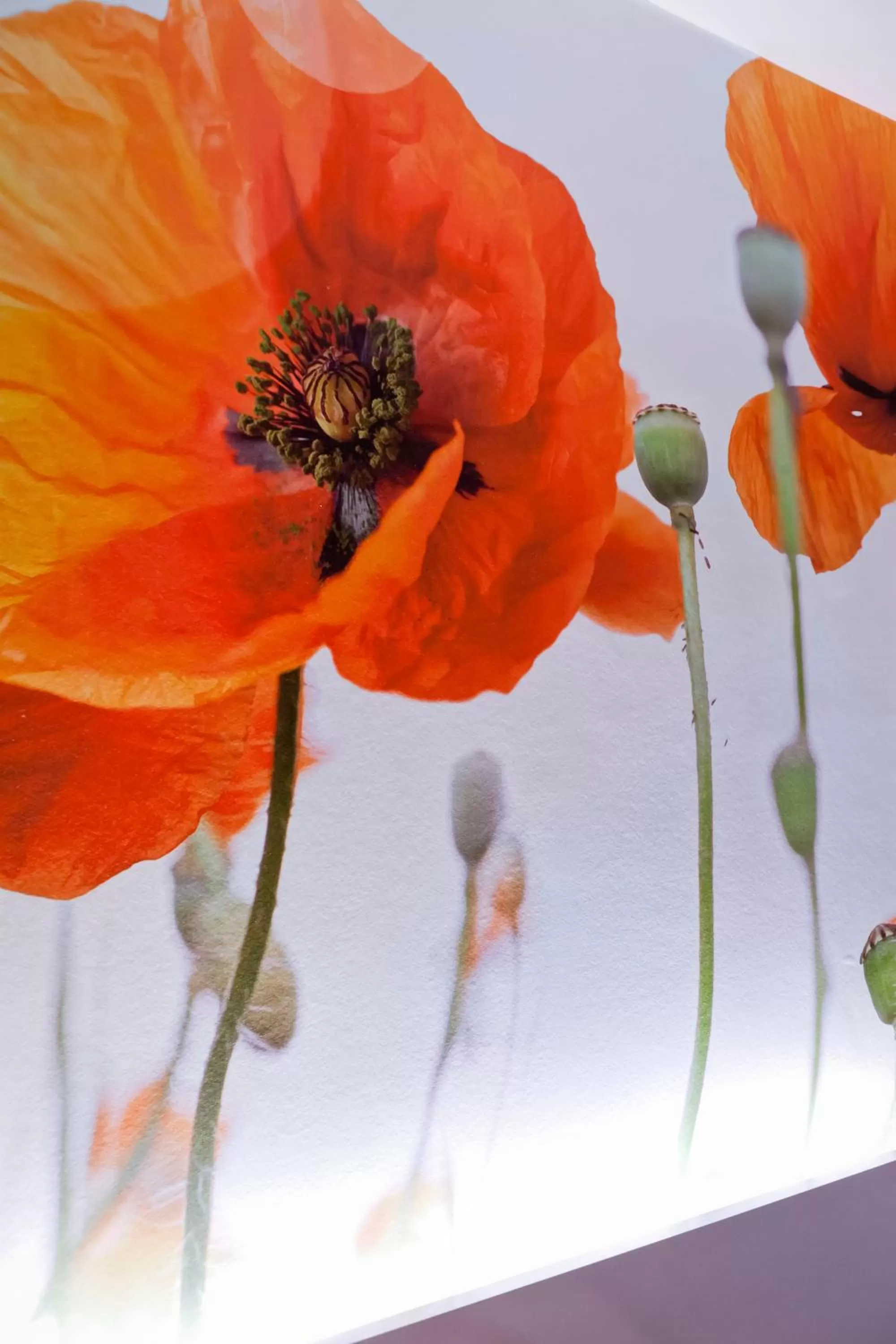 Decorative detail in Best Western Crequi Lyon Part Dieu
