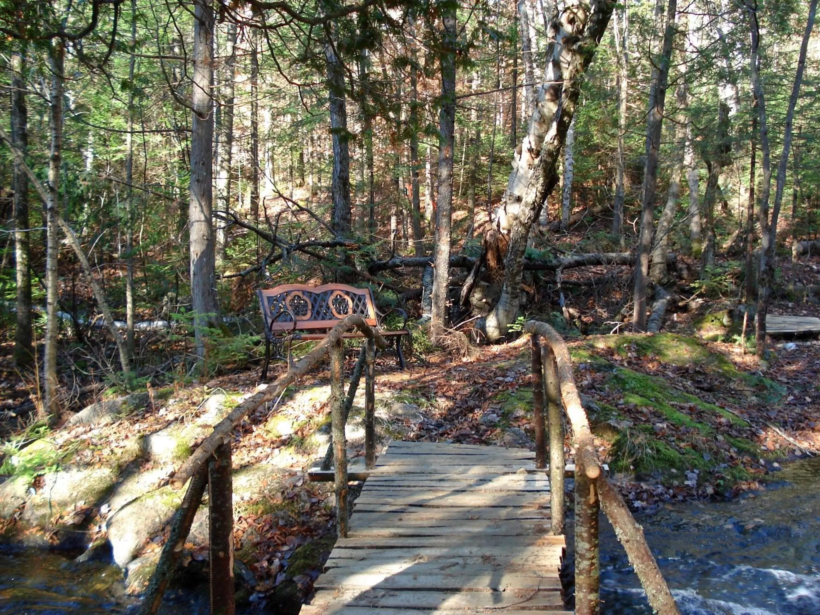 Area and facilities in Auberge du Lac-à-l'Eau-Claire