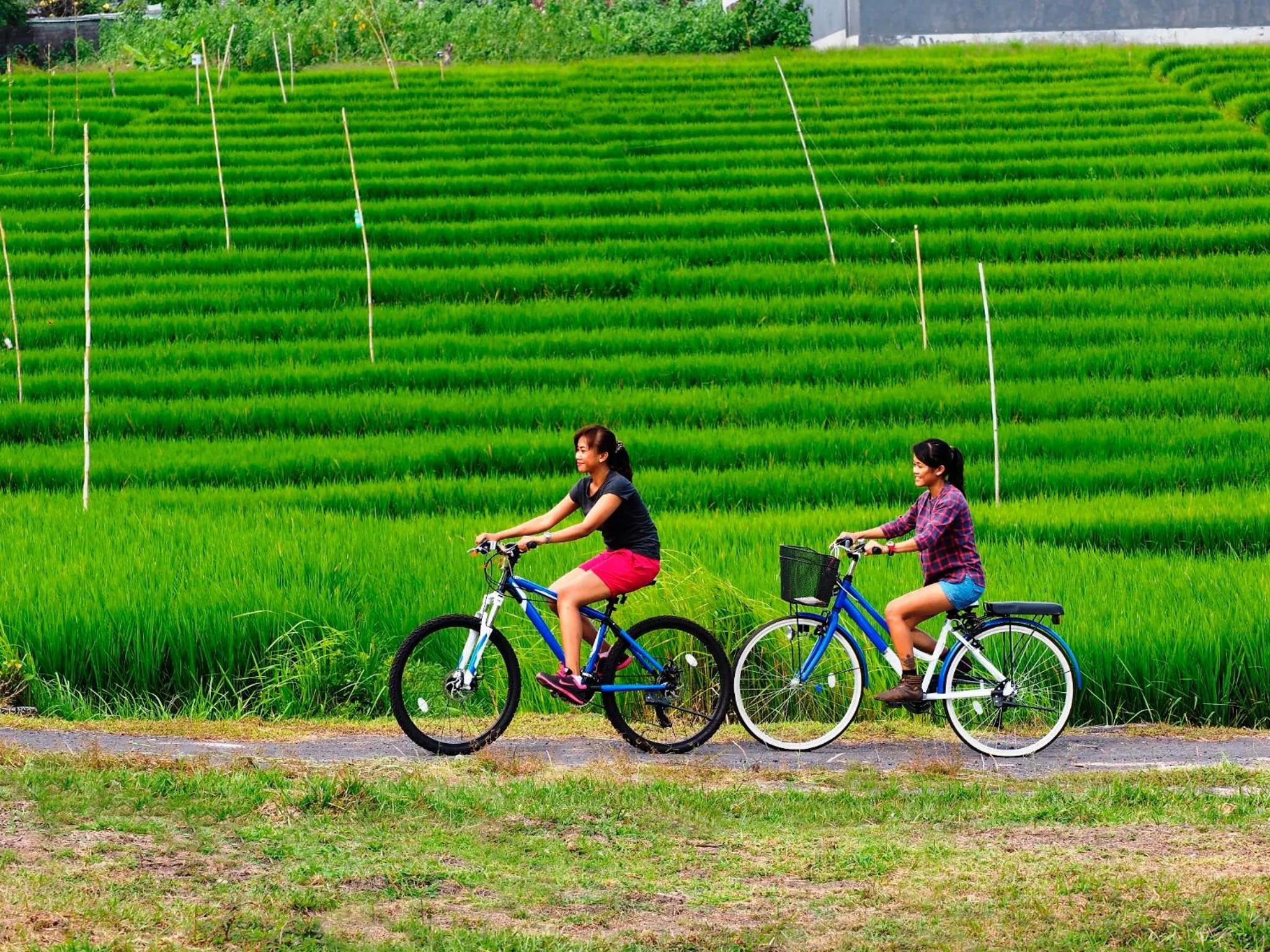 Area and facilities in The Santai by LifestyleRetreats