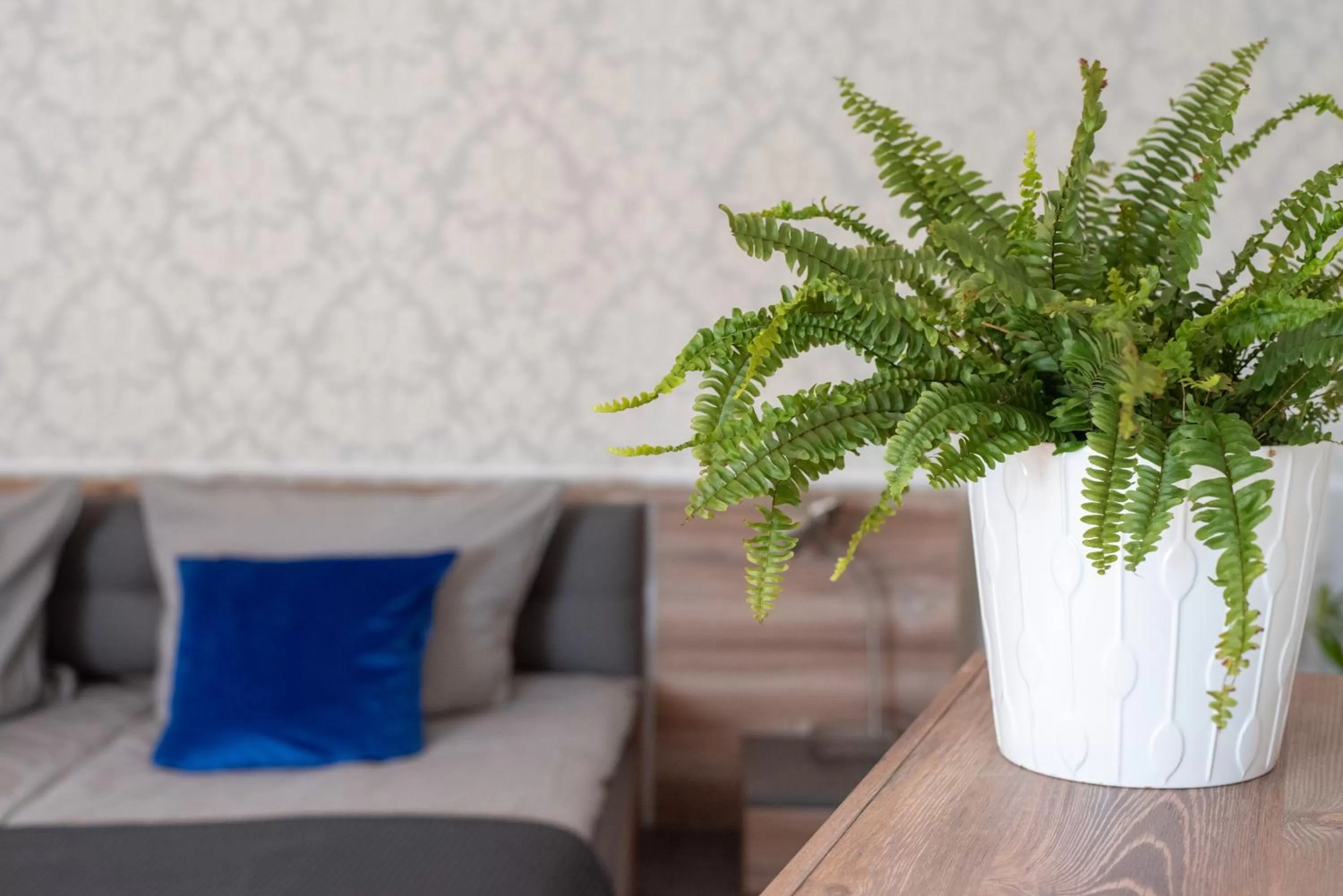 Seating area in Komfort Zone