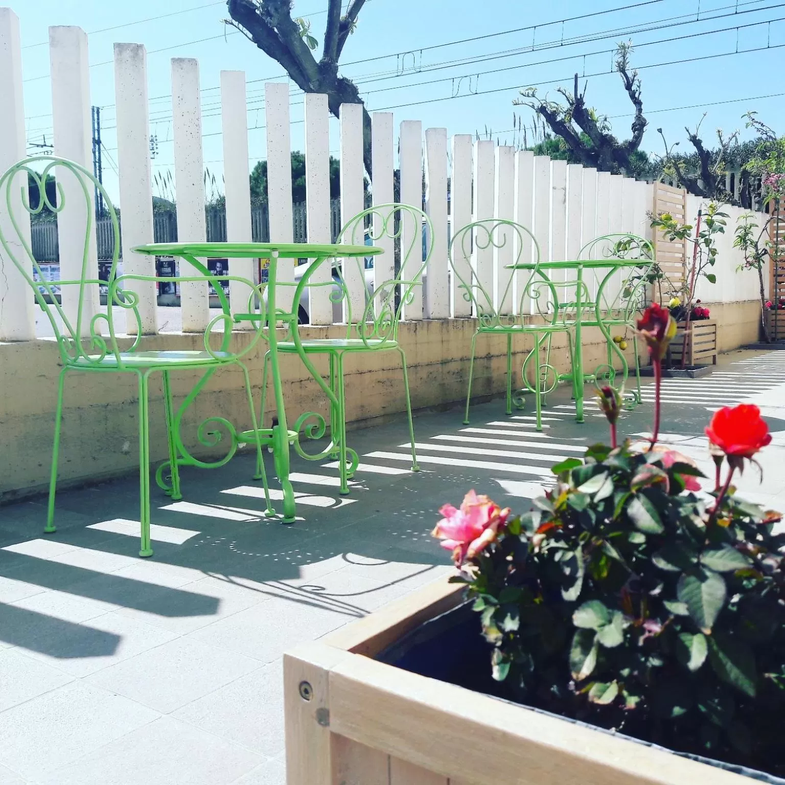 Garden in B&B Incanto sotto il mare