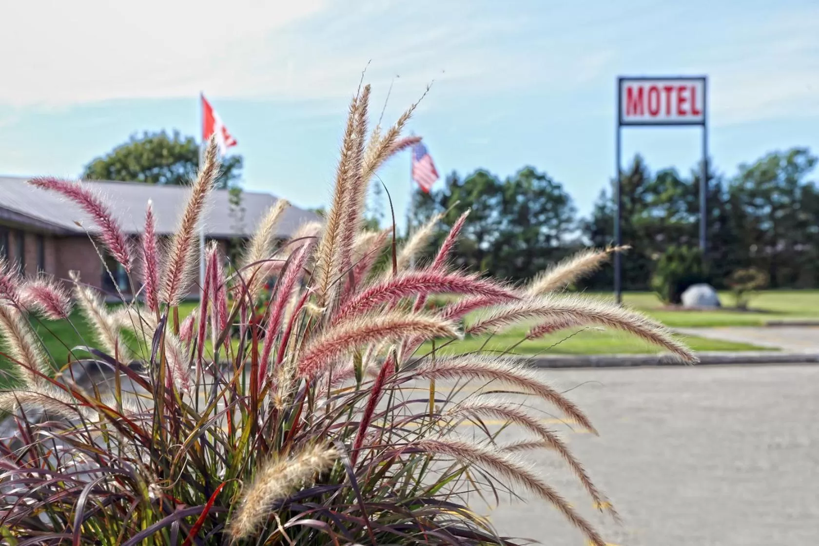 Spring in King Hotel