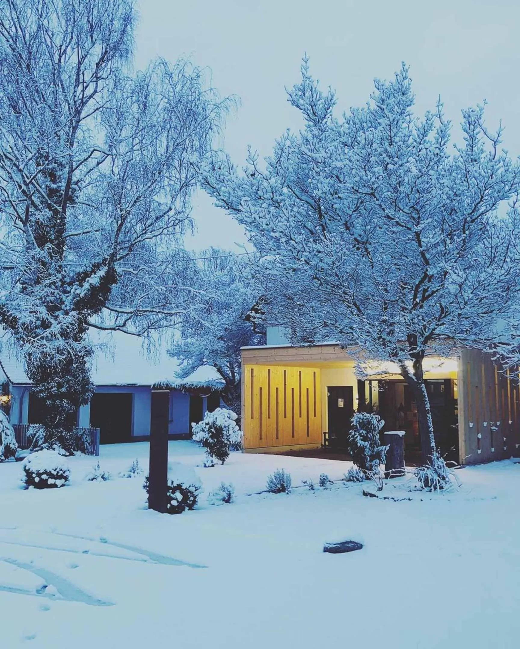 Property building in Hotel Waldvogel