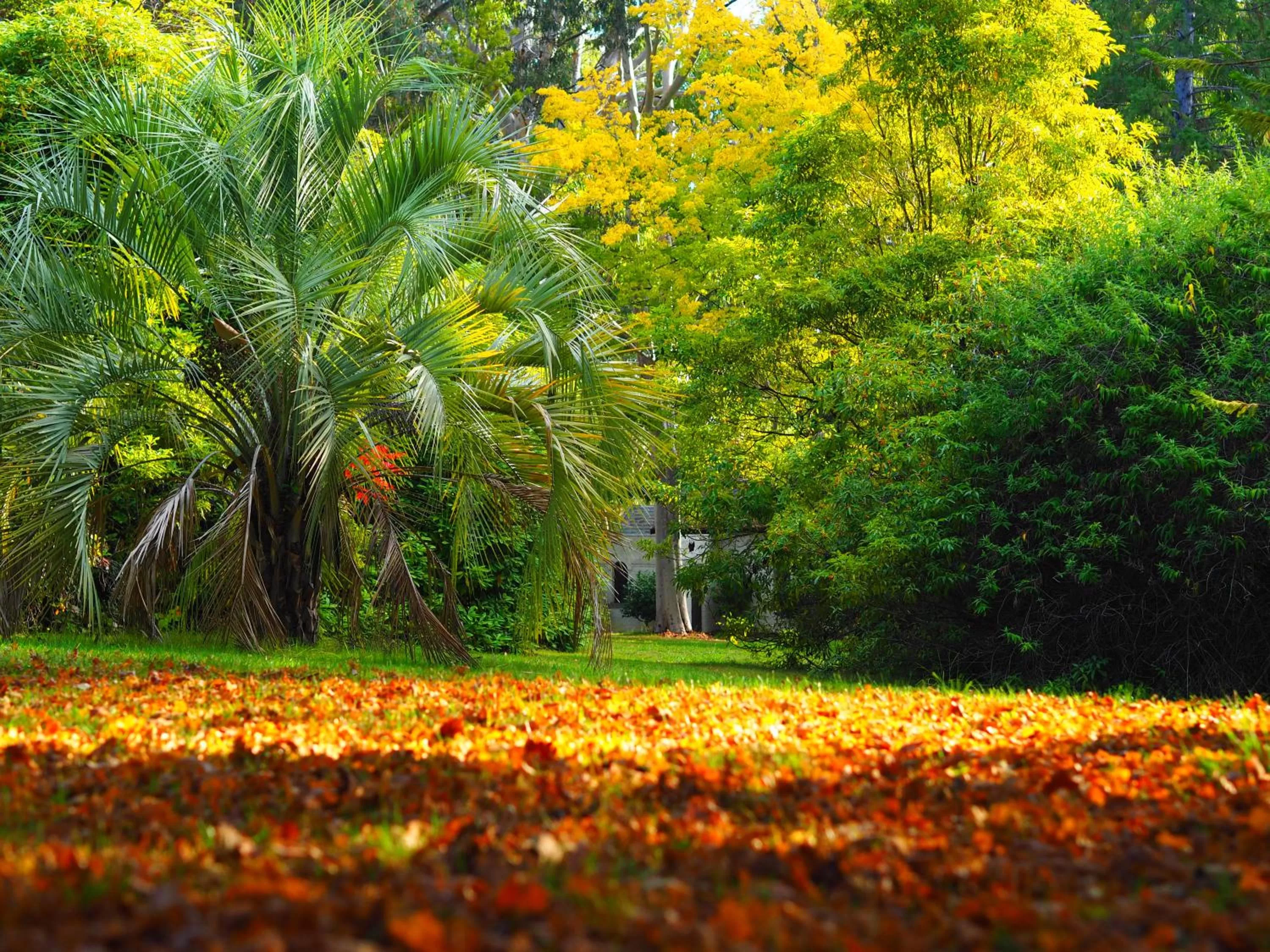 Garden in Linaker Art Deco Motel