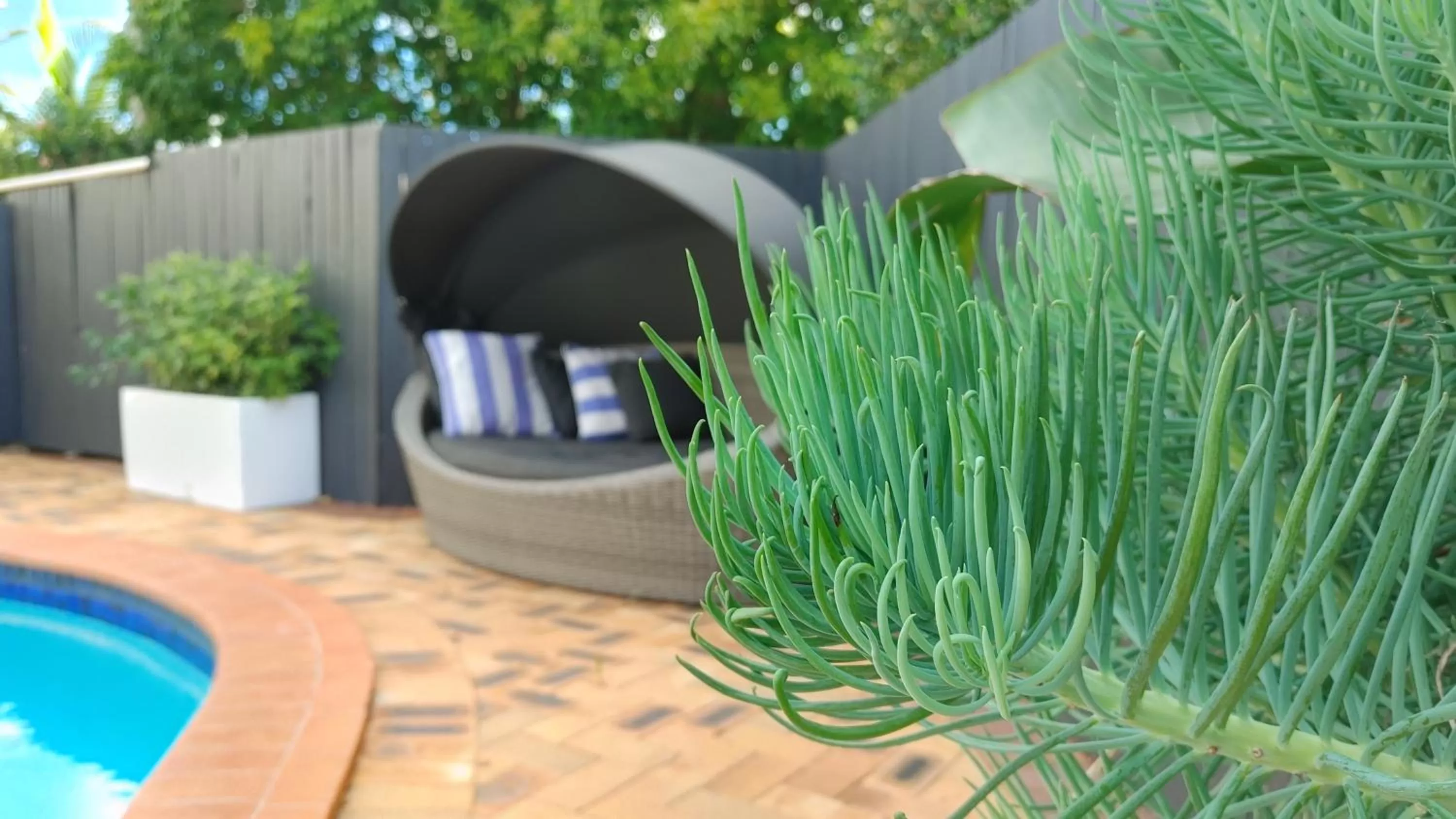 Swimming pool in Noosa Sun - On the Noosa River