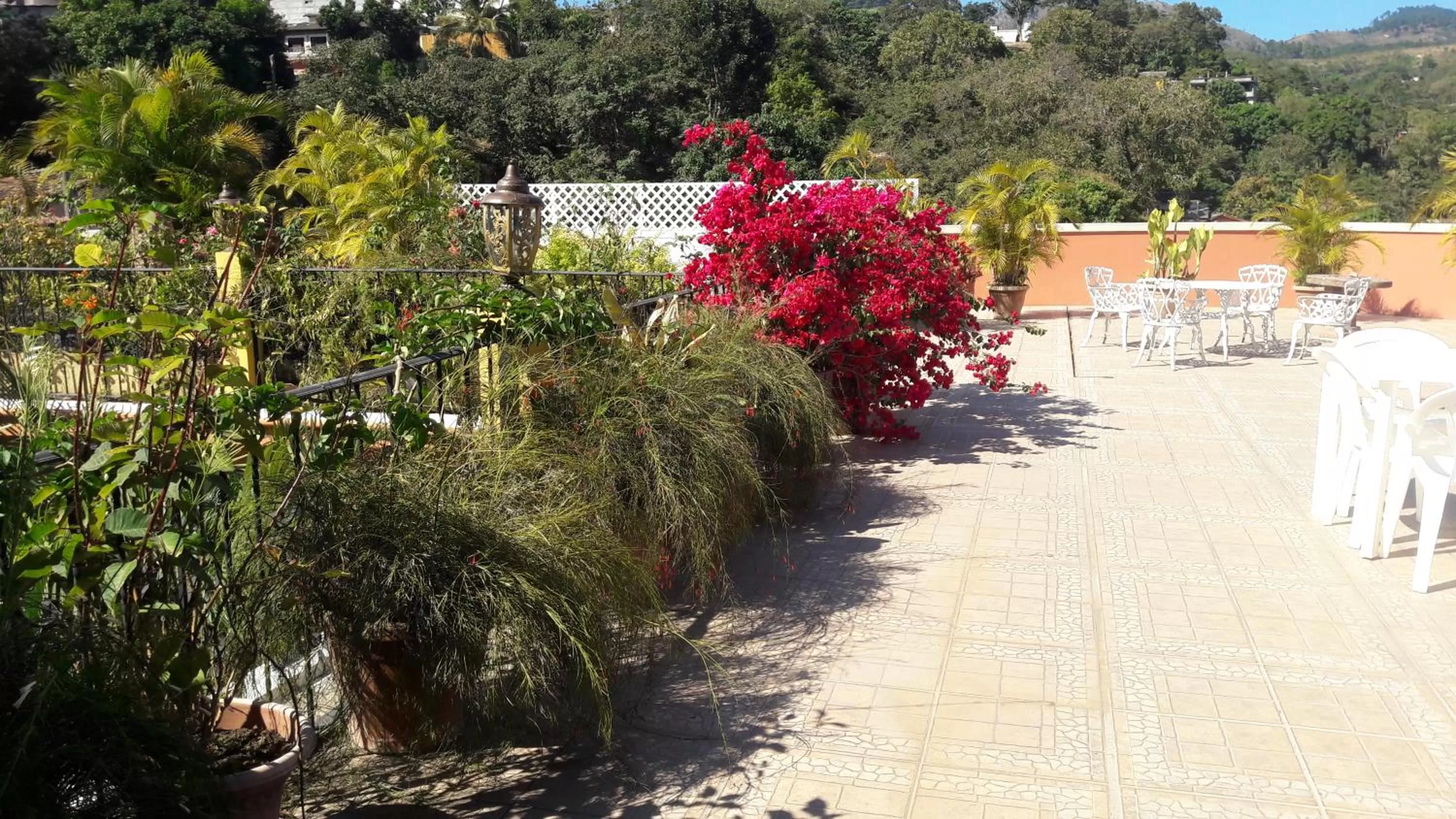Patio in Hotel Acropolis Maya