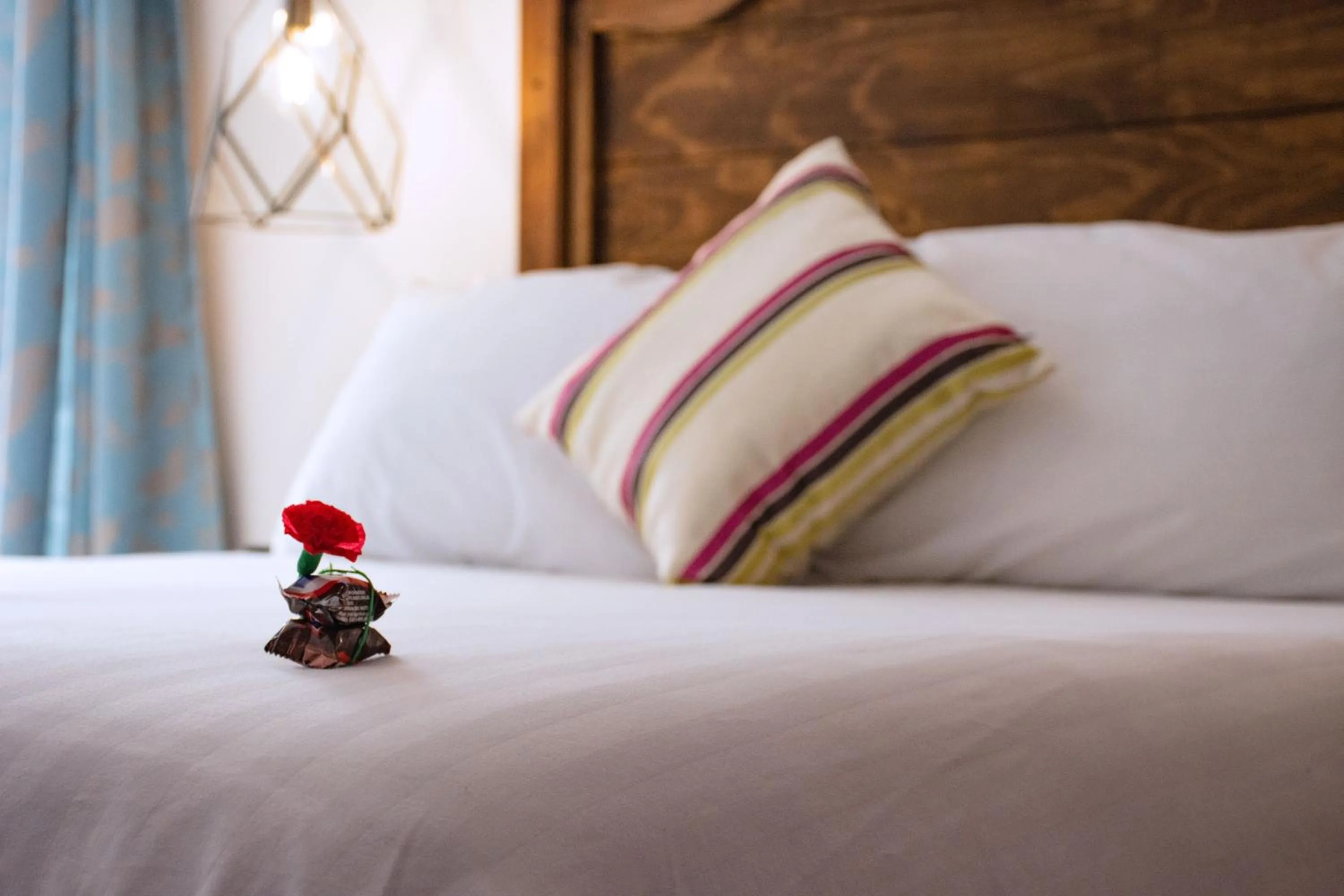 Photo of the whole room in Hotel Casa Santamaría