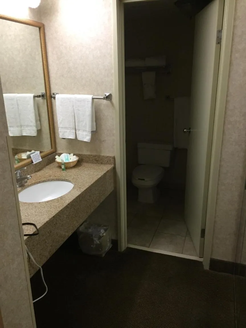 King Room - Non-Smoking in Quality Inn & Suites Downtown - University Area
