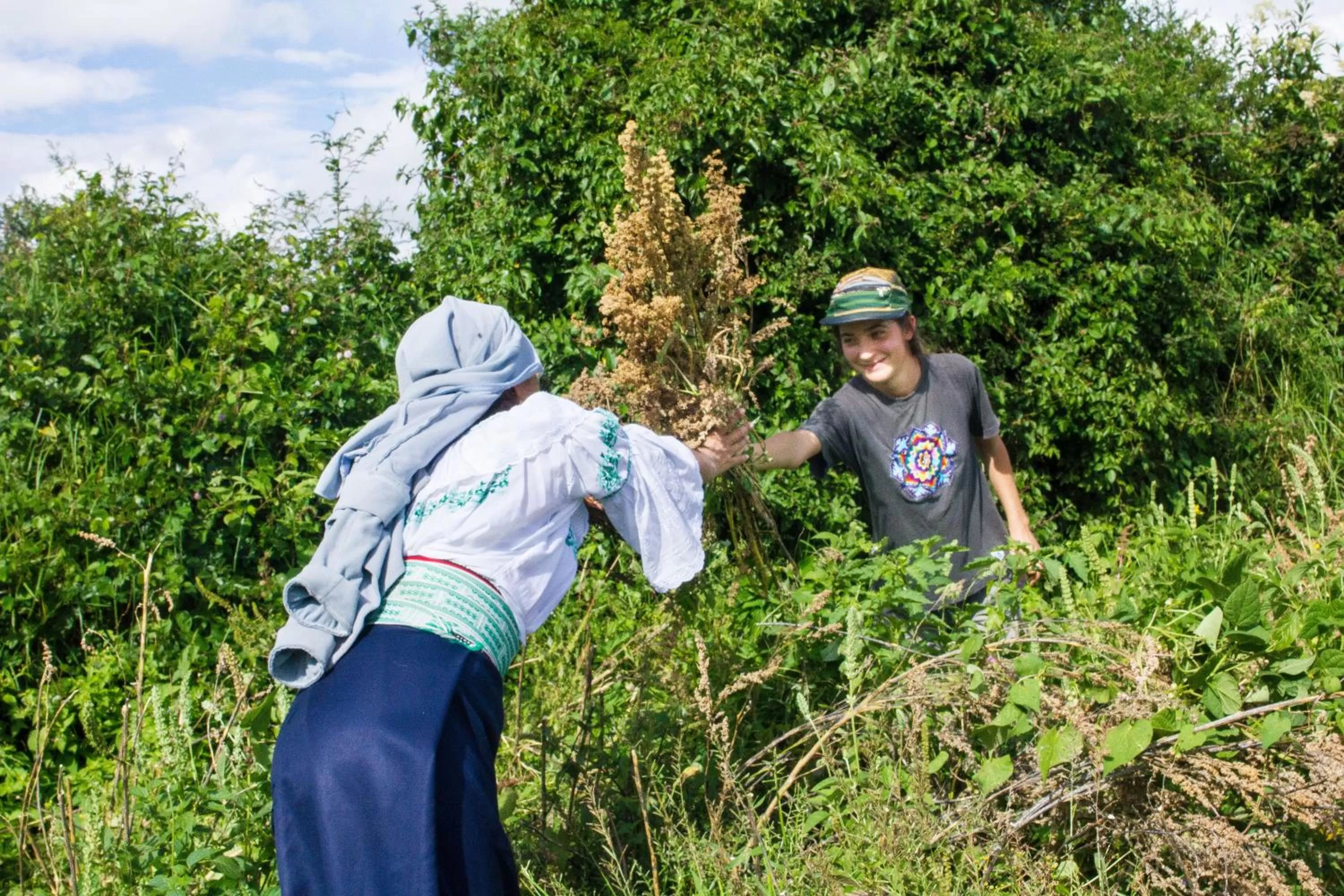 Property building in Kallpa Wasi