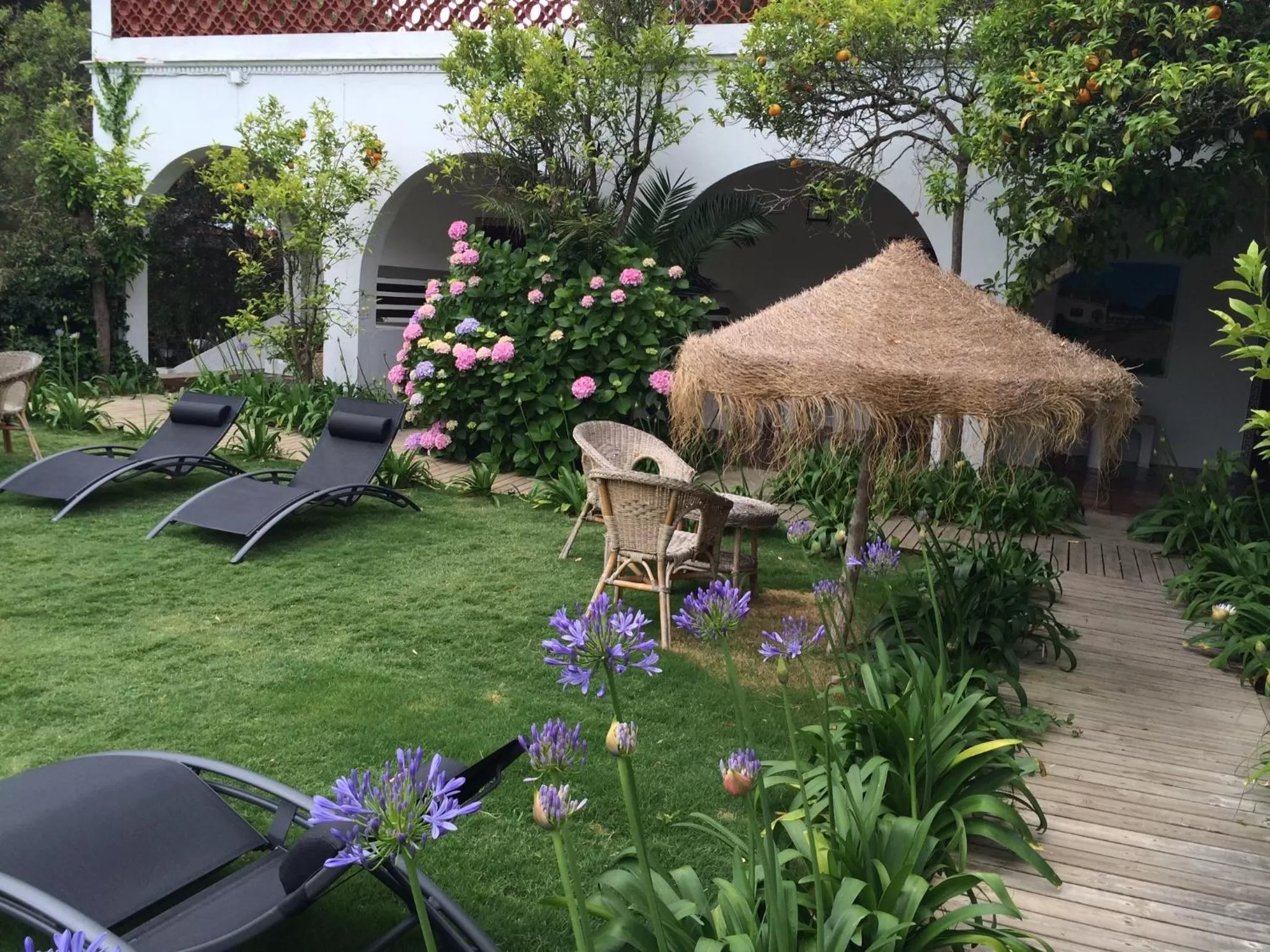 Swimming pool in Mesón de Sancho