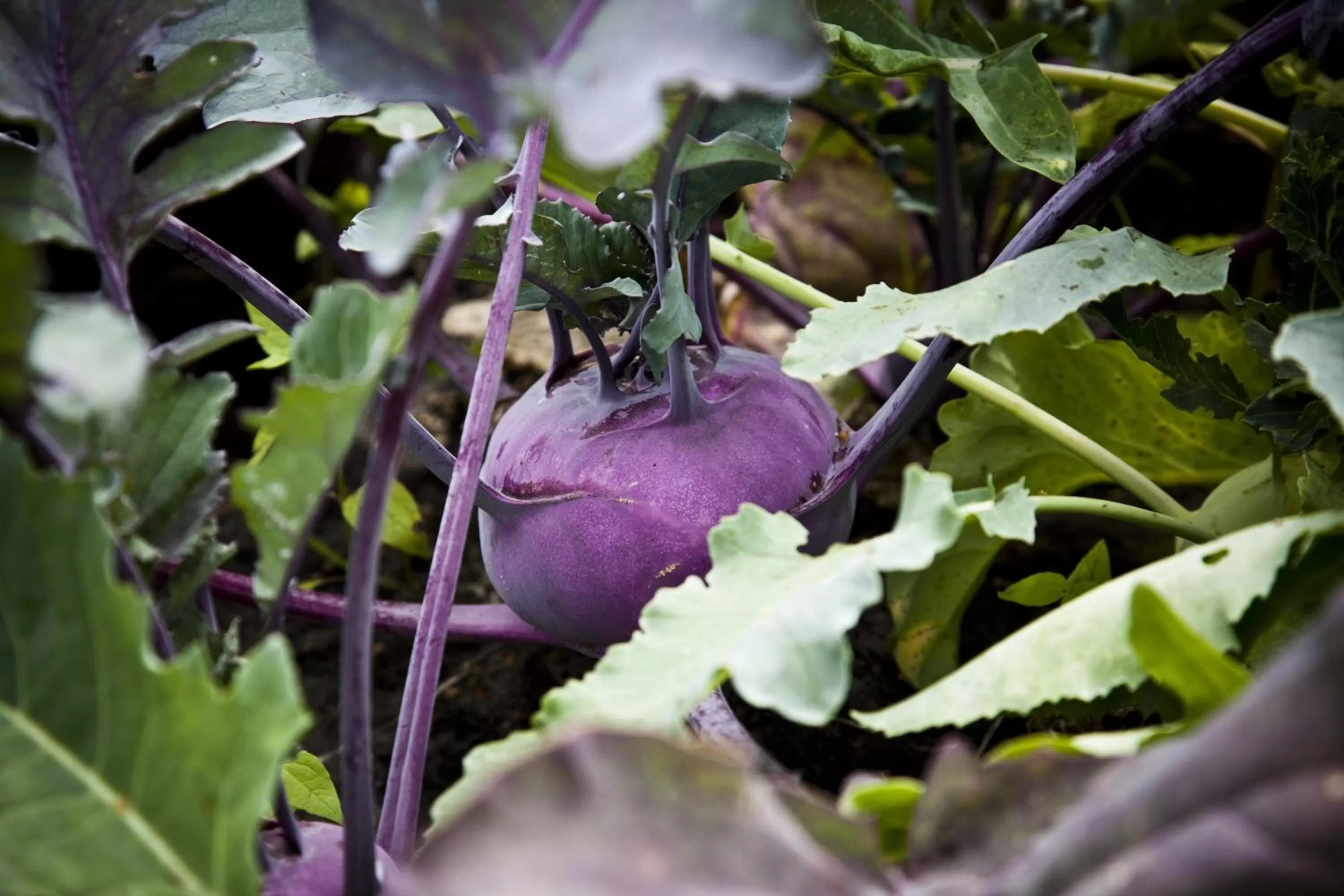 Other in Flair Hotel Reuner