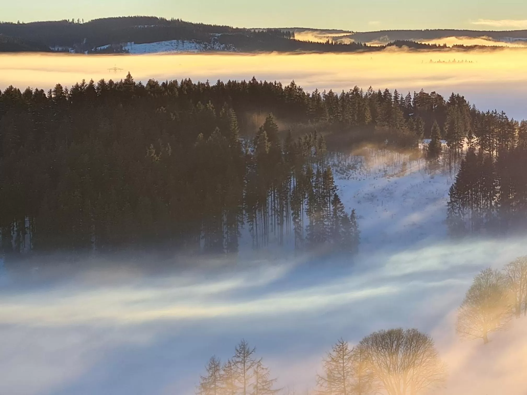 Natural landscape in JUFA Hotel Schwarzwald