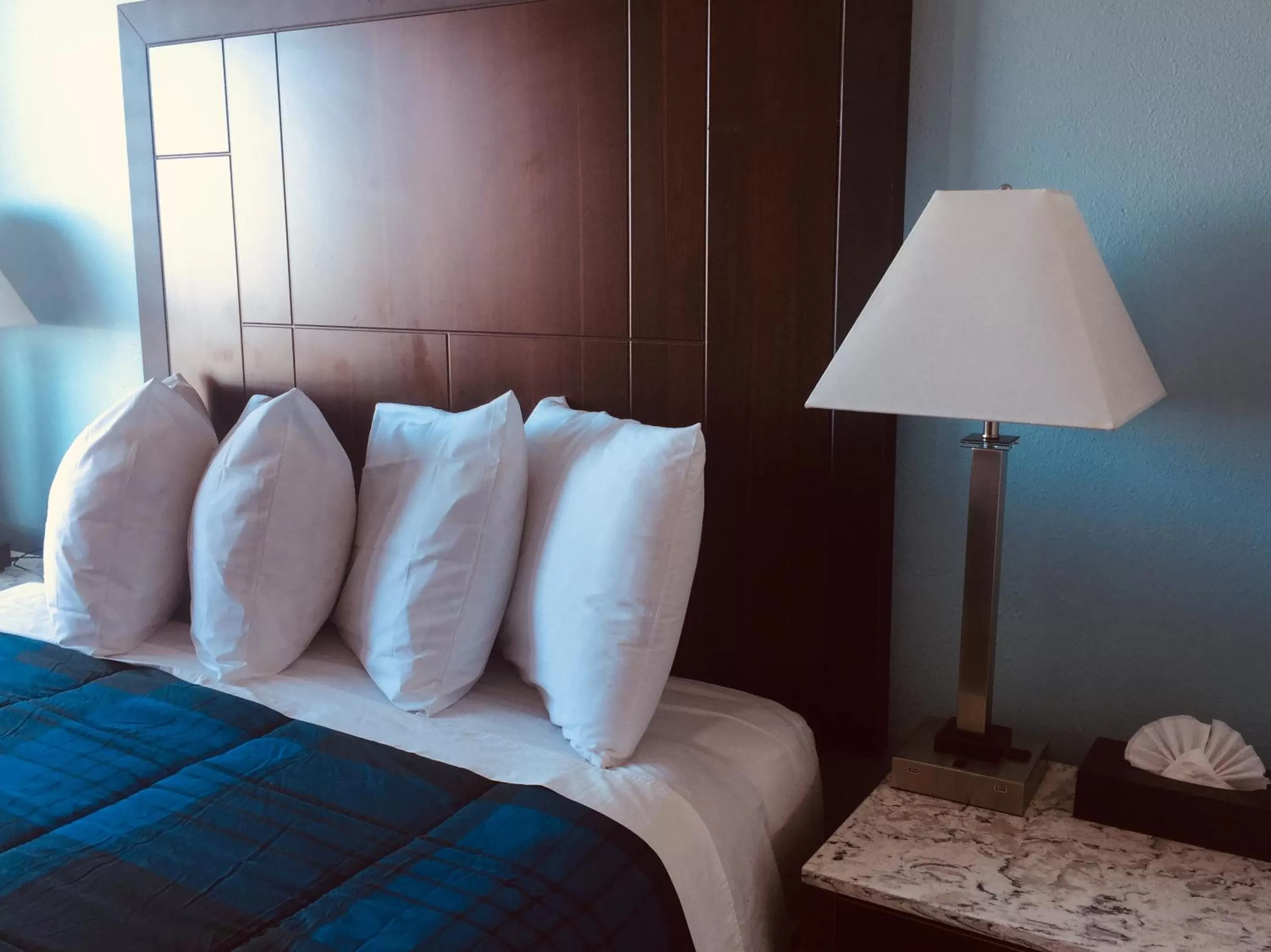 Bed in Dolphin Cove Motel