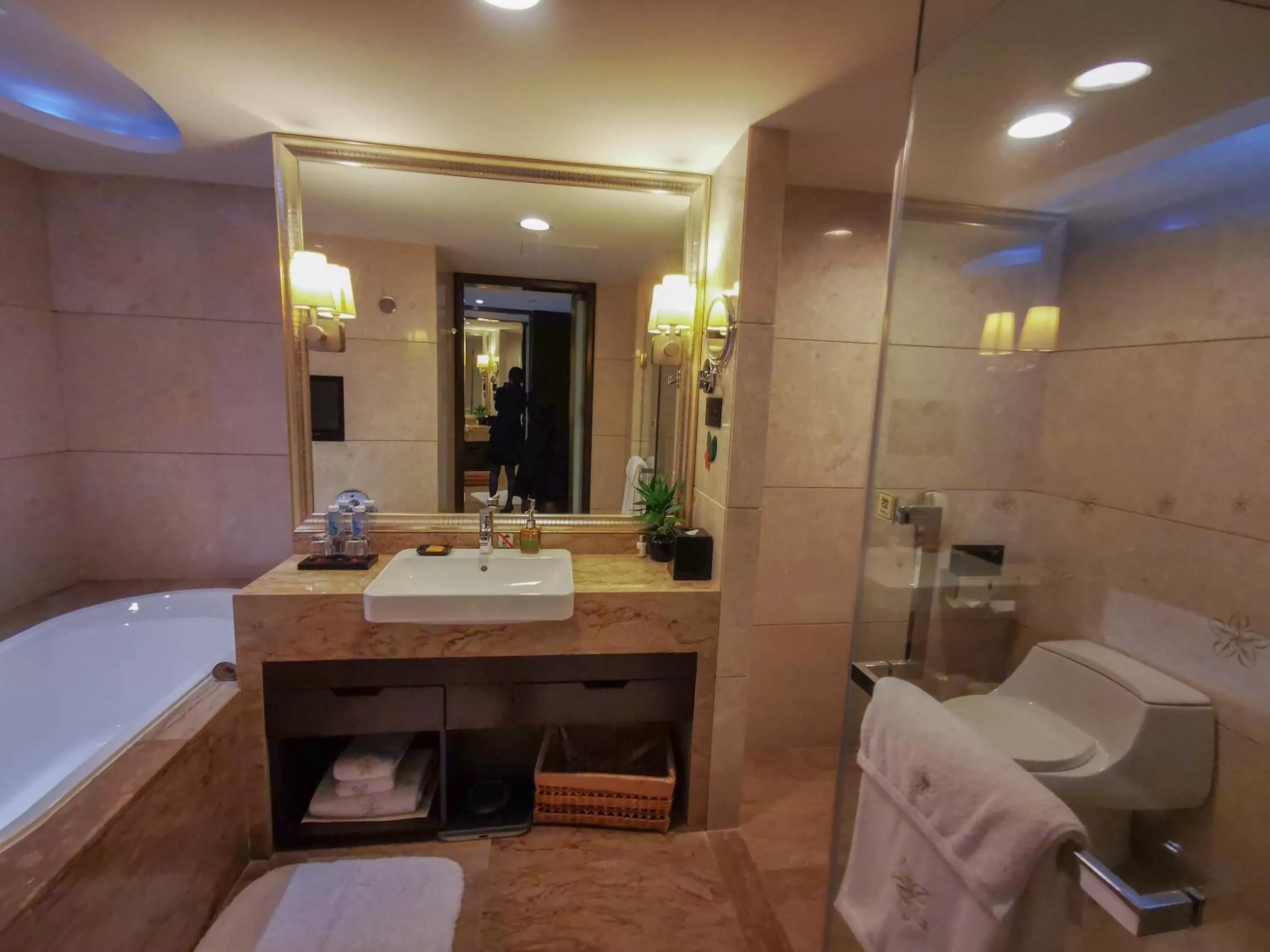 Bathroom in The Pavilion Hotel Shenzhen (Huaqiang NorthBusiness Zone)
