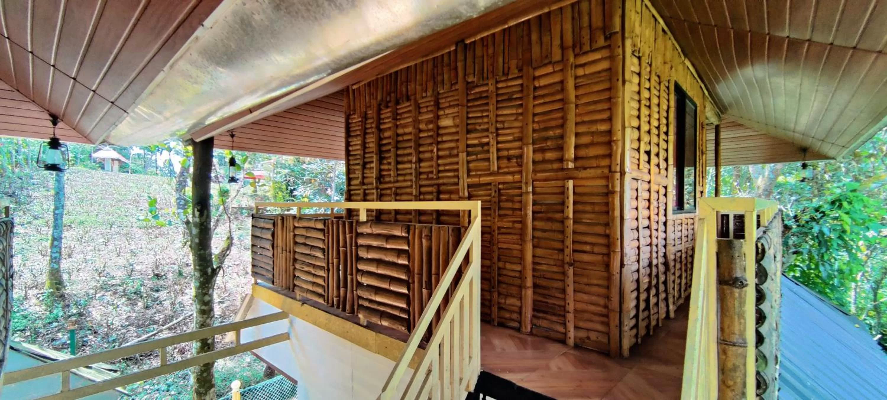 Bunk Bed in Chalona Jungle Vibe