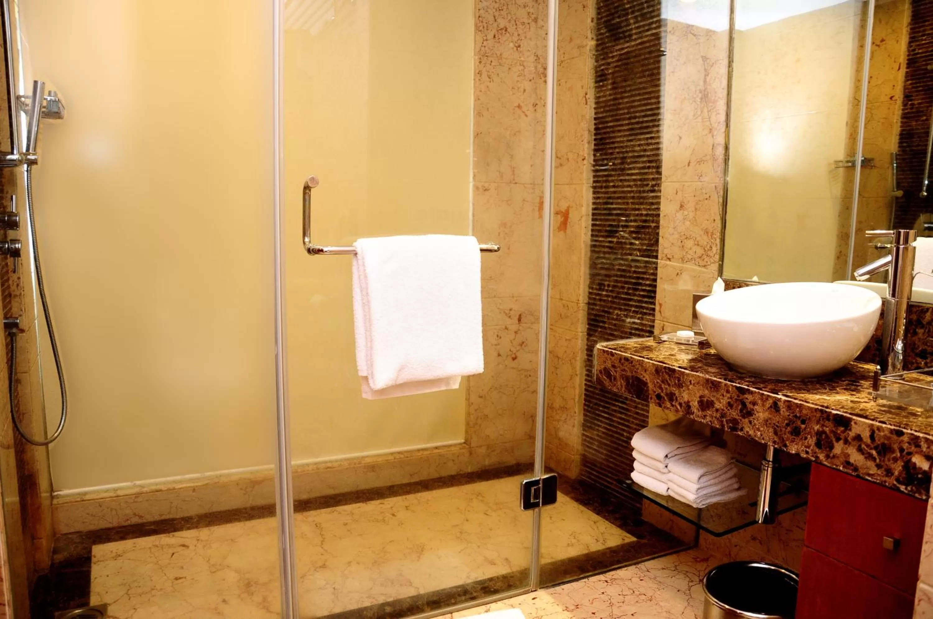 Bathroom in Radisson Blu Plaza Delhi Airport