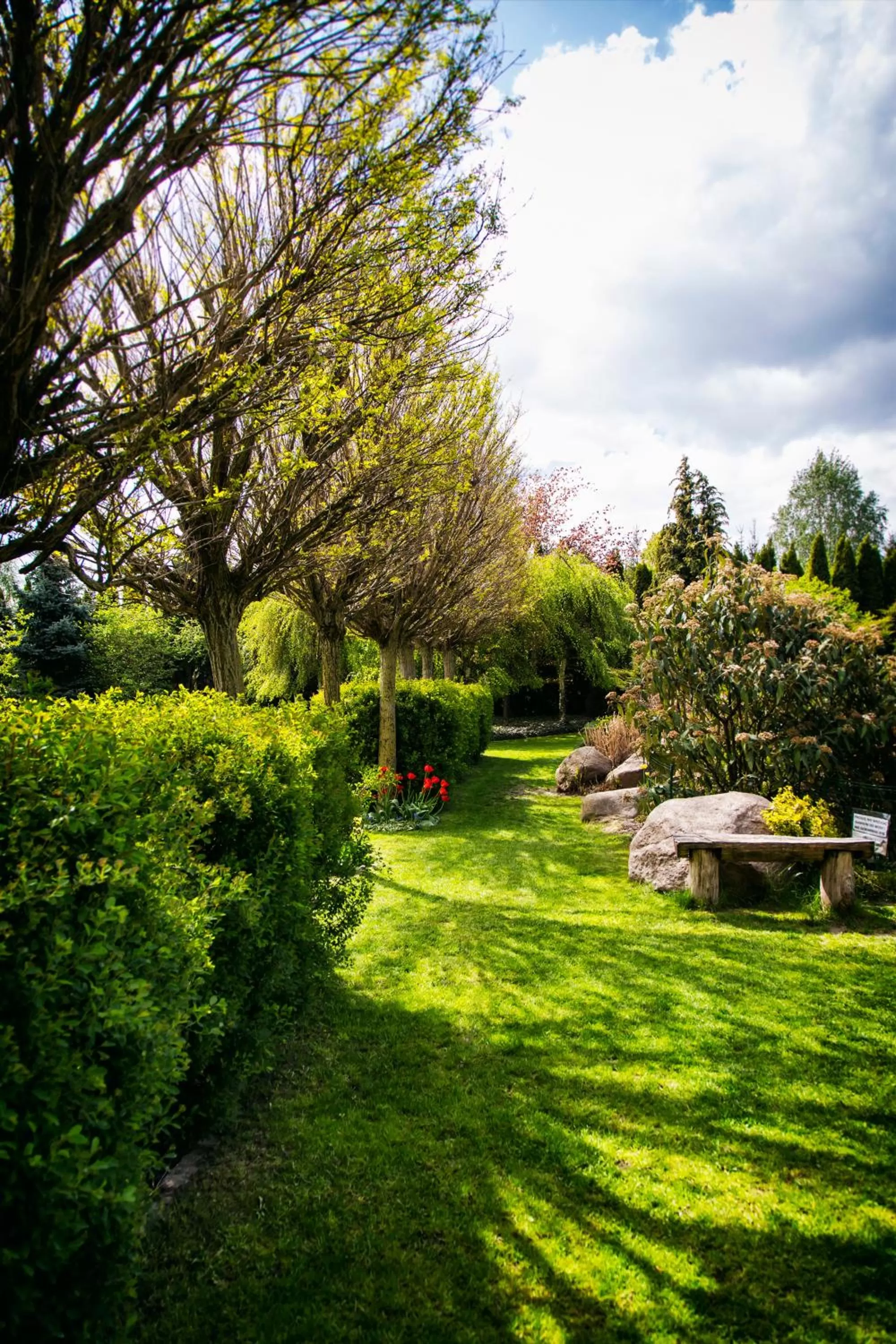 Restaurant/places to eat in Hotel Platan